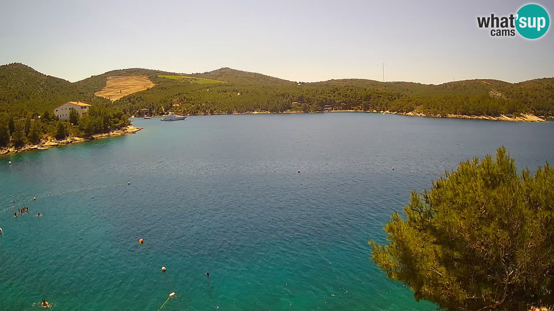 Camera Hvar Vira playa | Isla de Hvar | Dalmacia