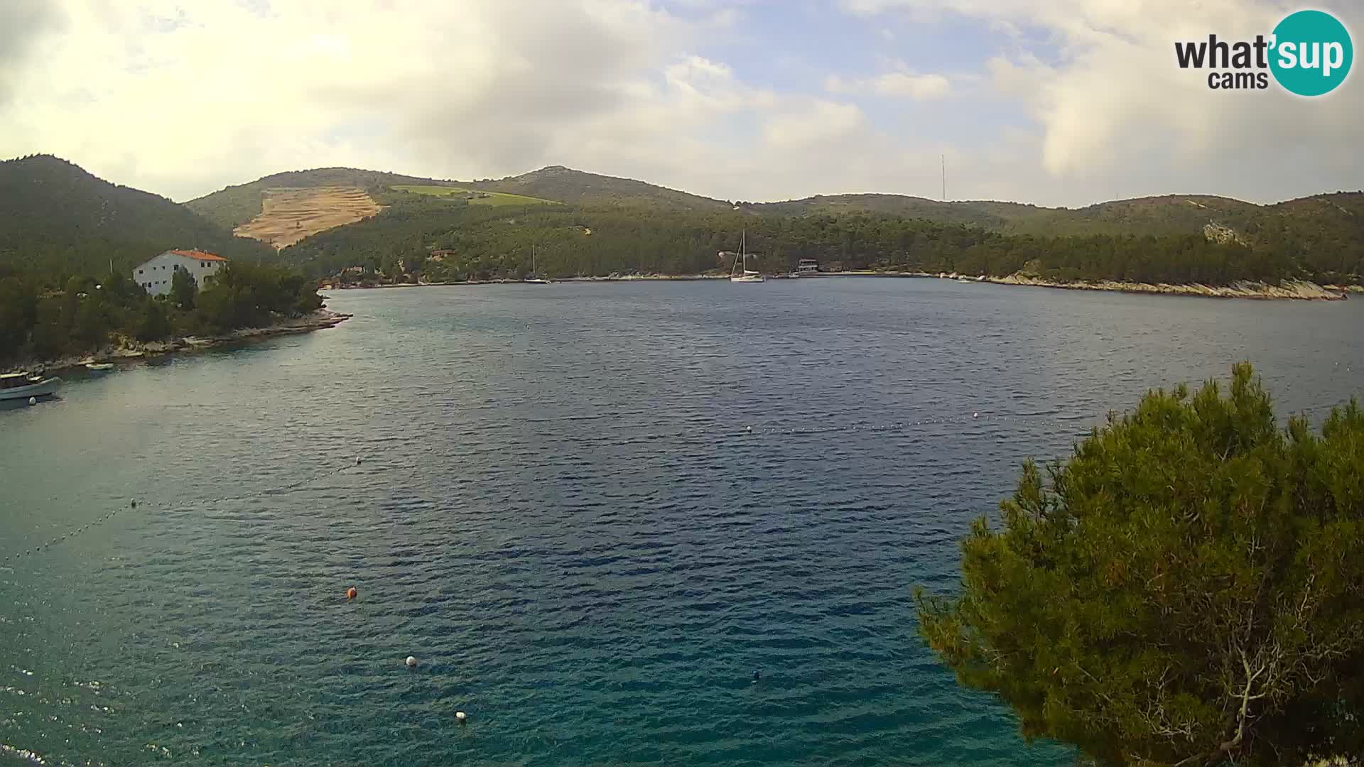 Hvar webcam Vira Strand | Hvar Insel | Dalmatien