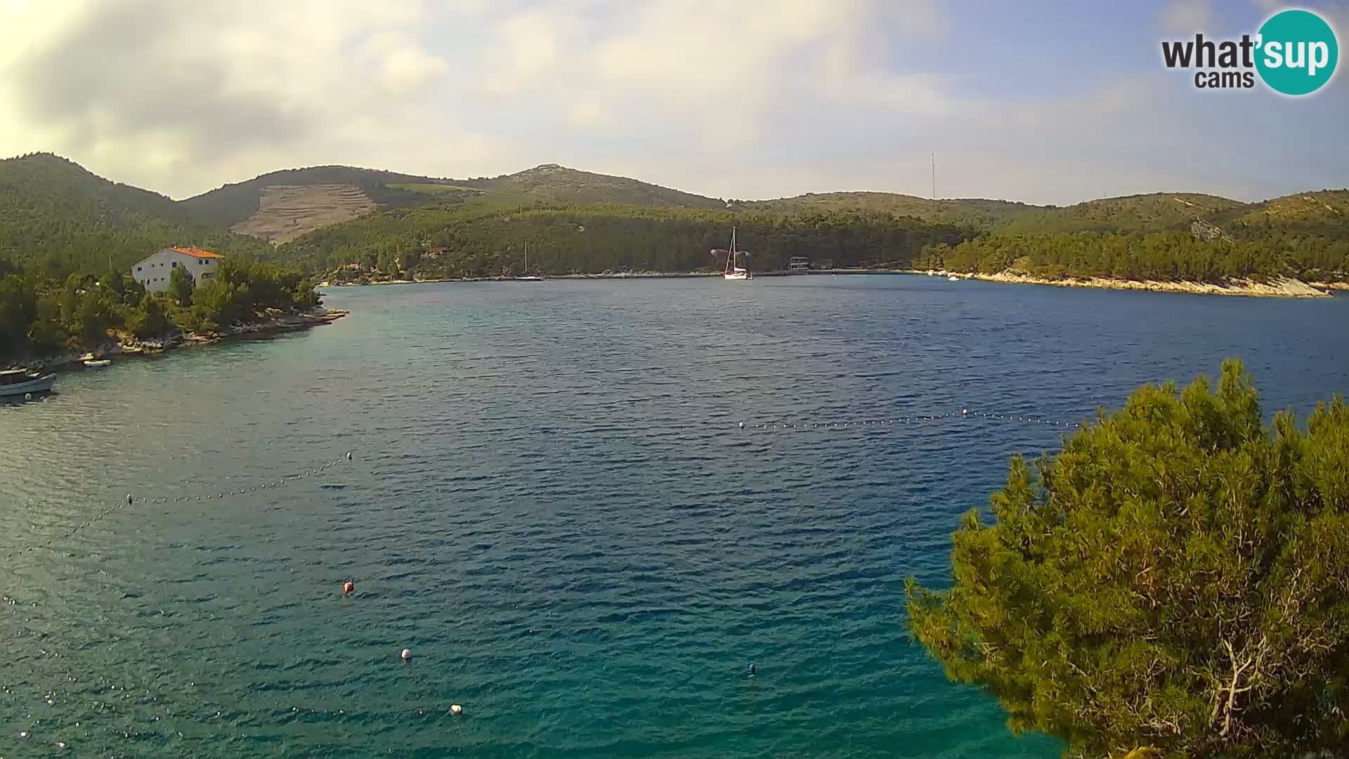 Hvar webcam Vira Strand | Hvar Insel | Dalmatien