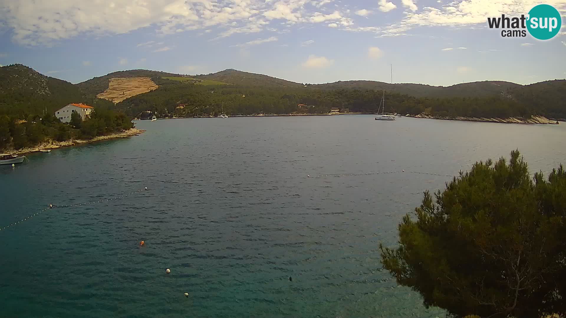 Live cam Hvar Vira plage | Île de Hvar | Dalmatie