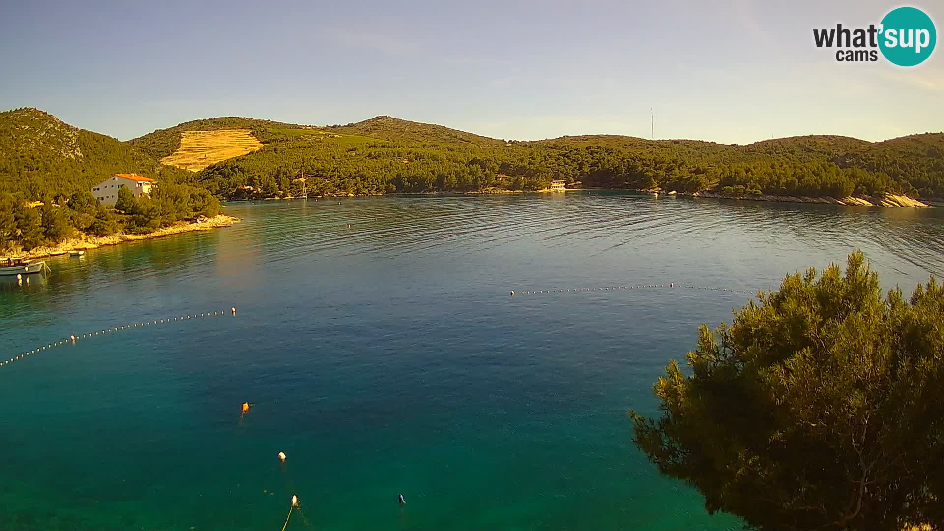 Webcam Hvar Vira beach | Hvar island | Dalmatia