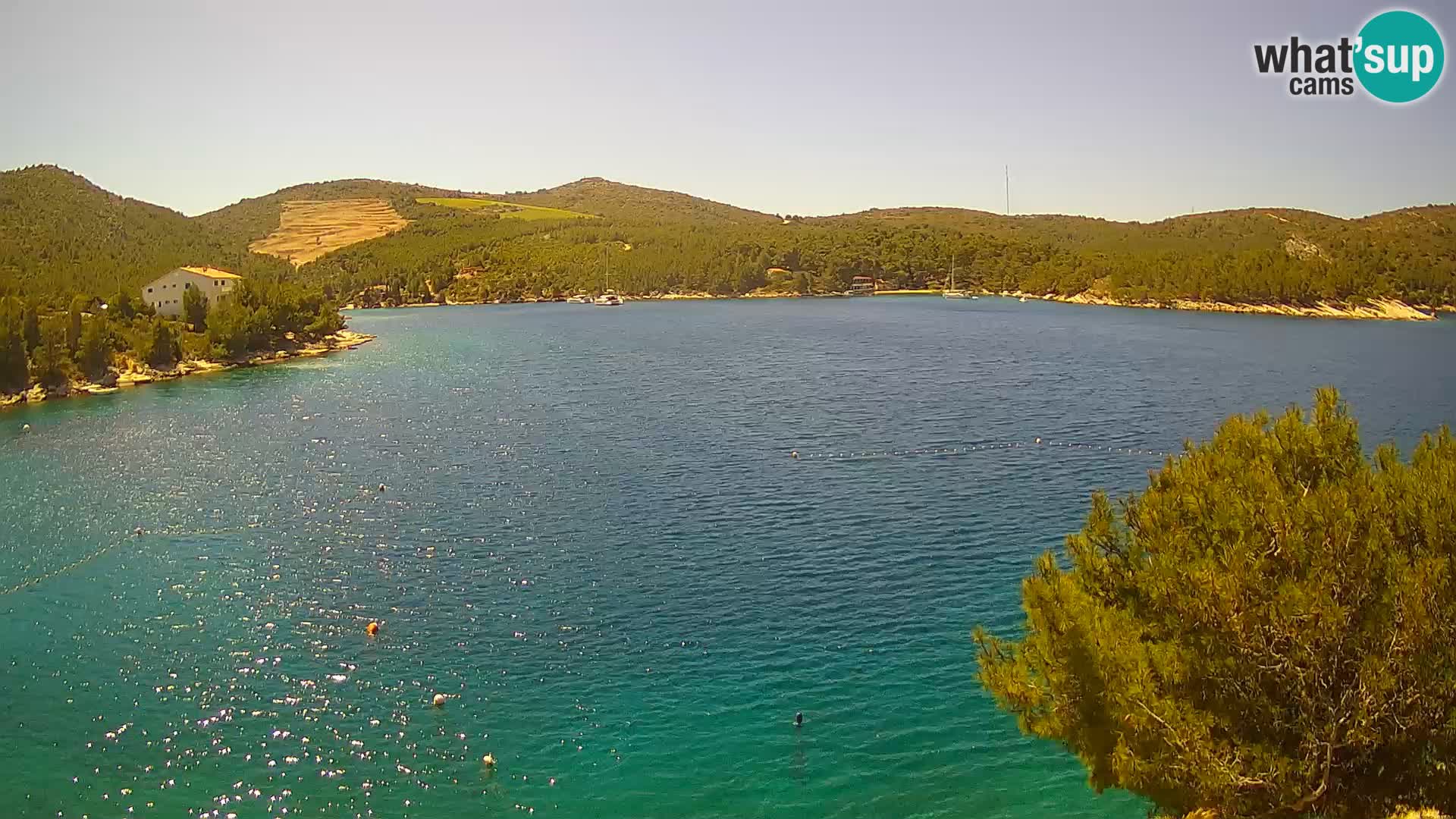 Camera Hvar Vira playa | Isla de Hvar | Dalmacia