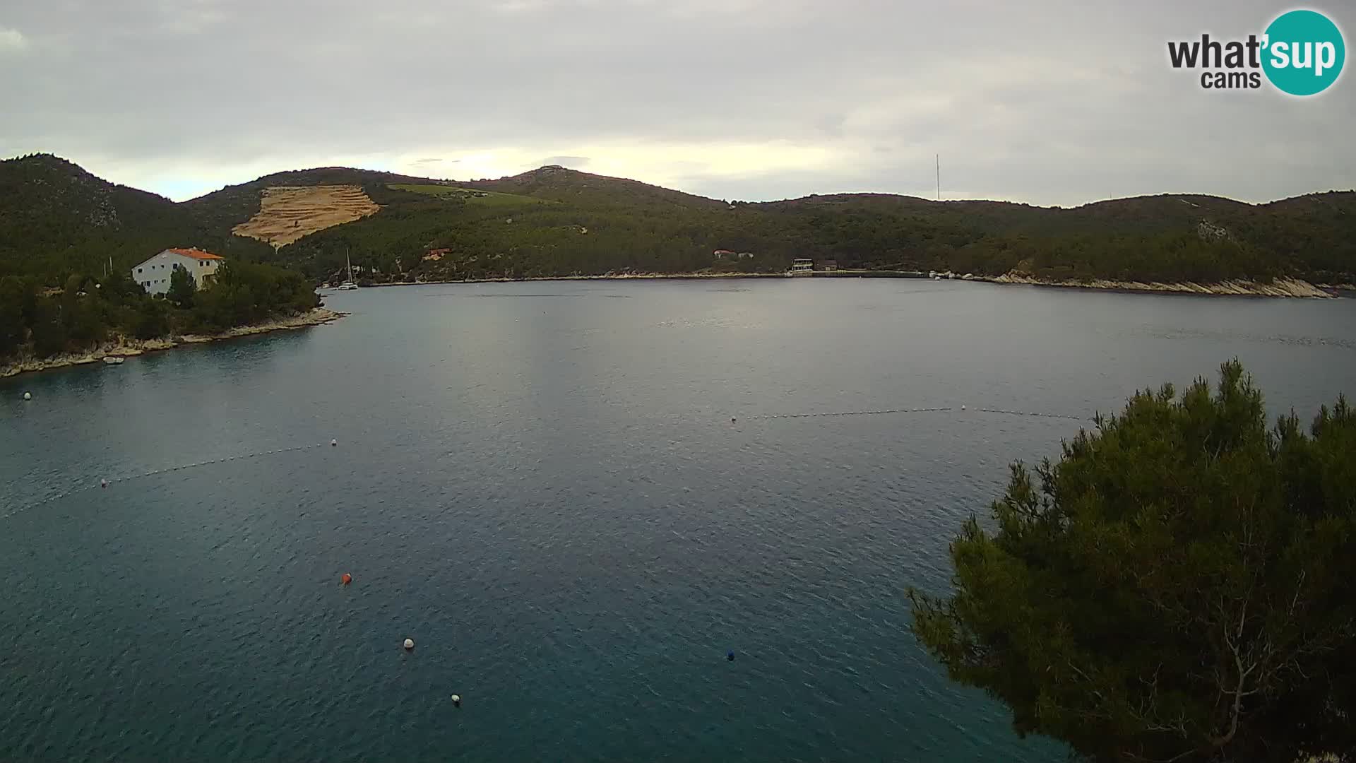 Live cam Hvar Vira plage | Île de Hvar | Dalmatie