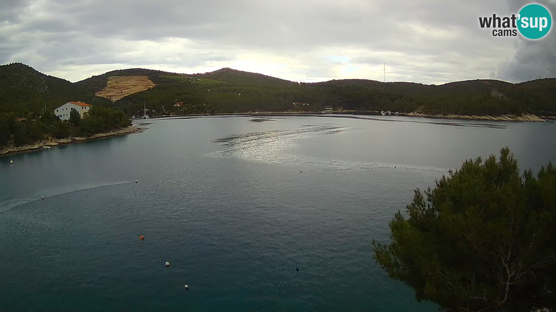 Live cam Hvar Vira plage | Île de Hvar | Dalmatie