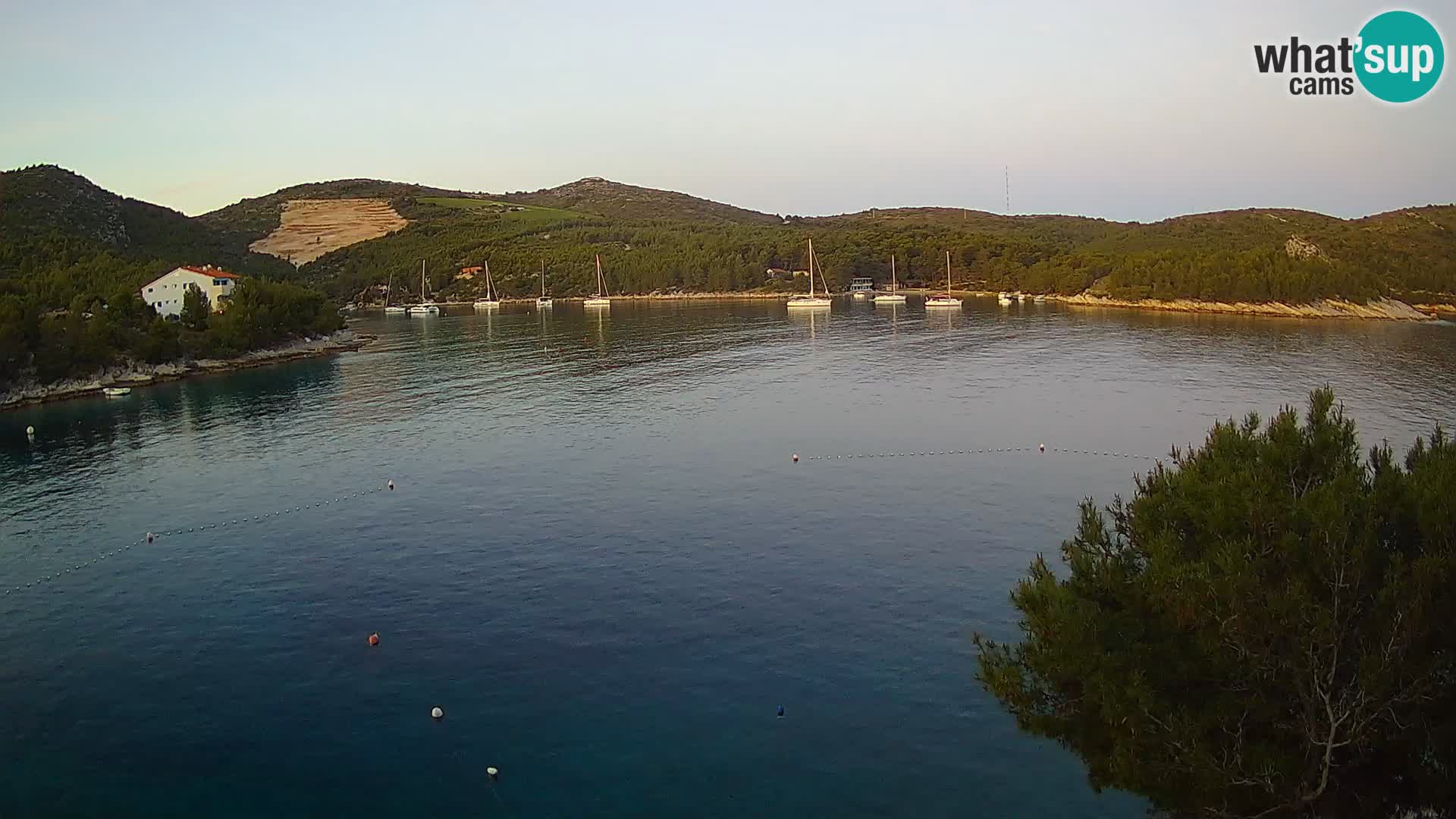 Camera Hvar Vira playa | Isla de Hvar | Dalmacia