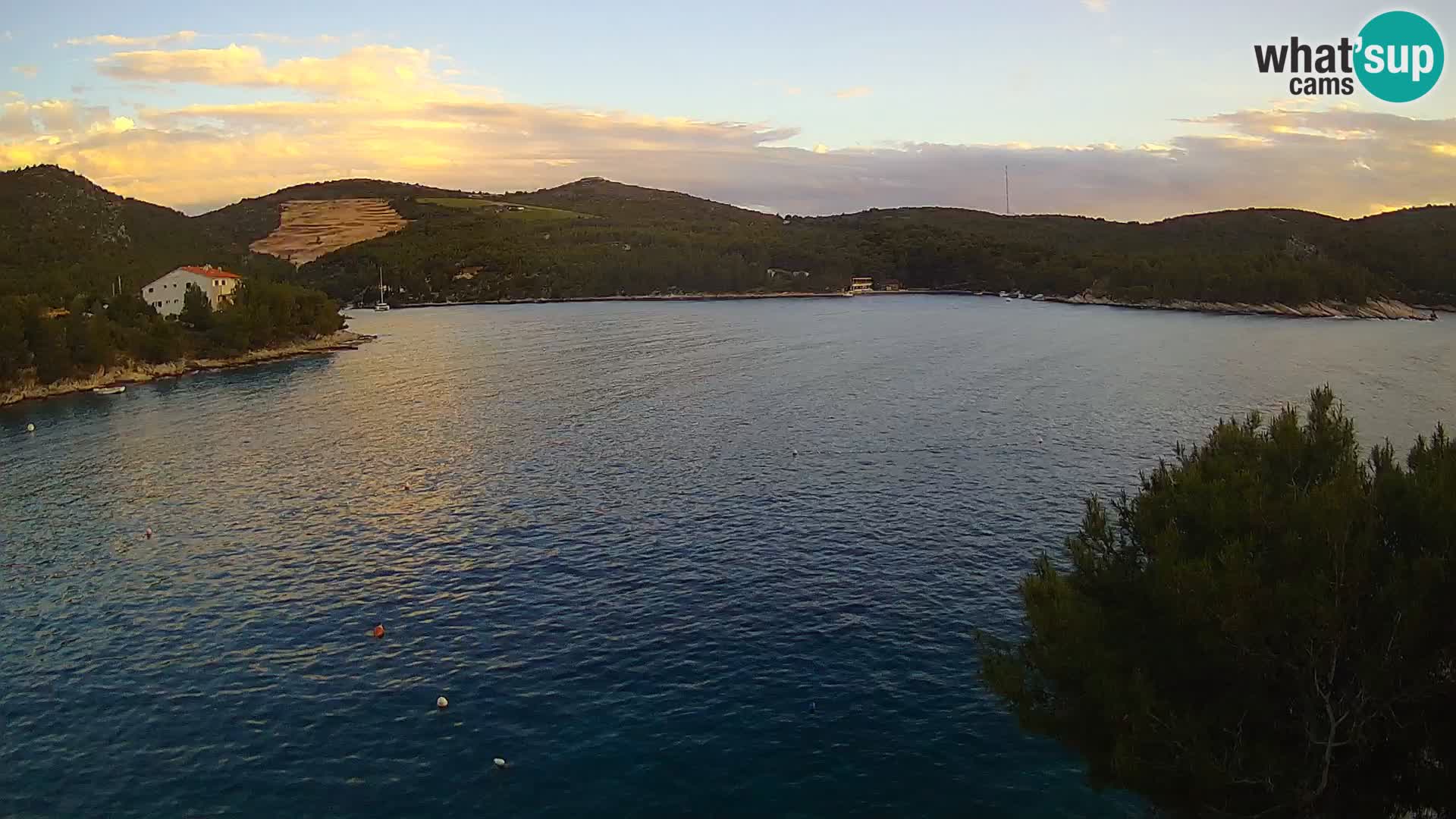 Live cam Hvar Vira plage | Île de Hvar | Dalmatie
