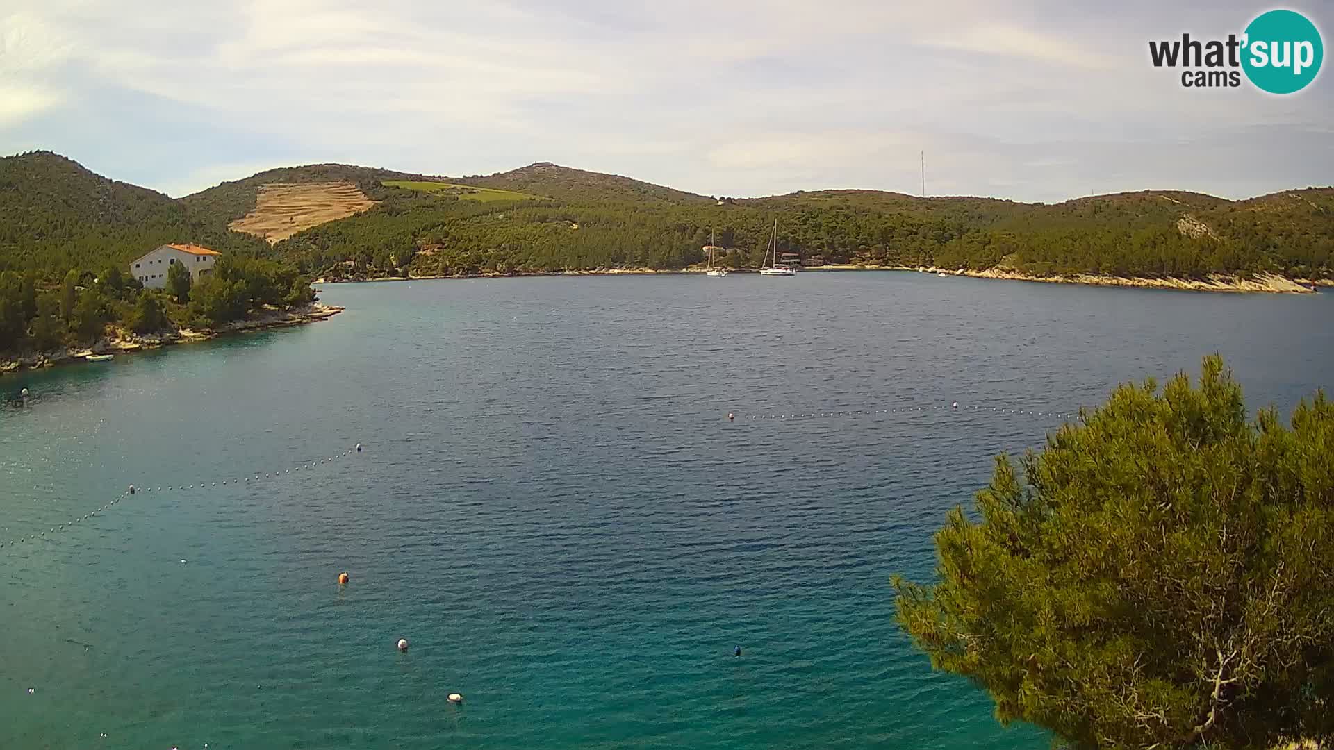Hvar webcam Vira Strand | Hvar Insel | Dalmatien