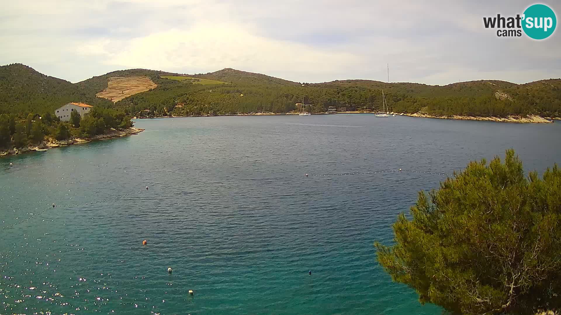 Live cam Hvar Vira plage | Île de Hvar | Dalmatie