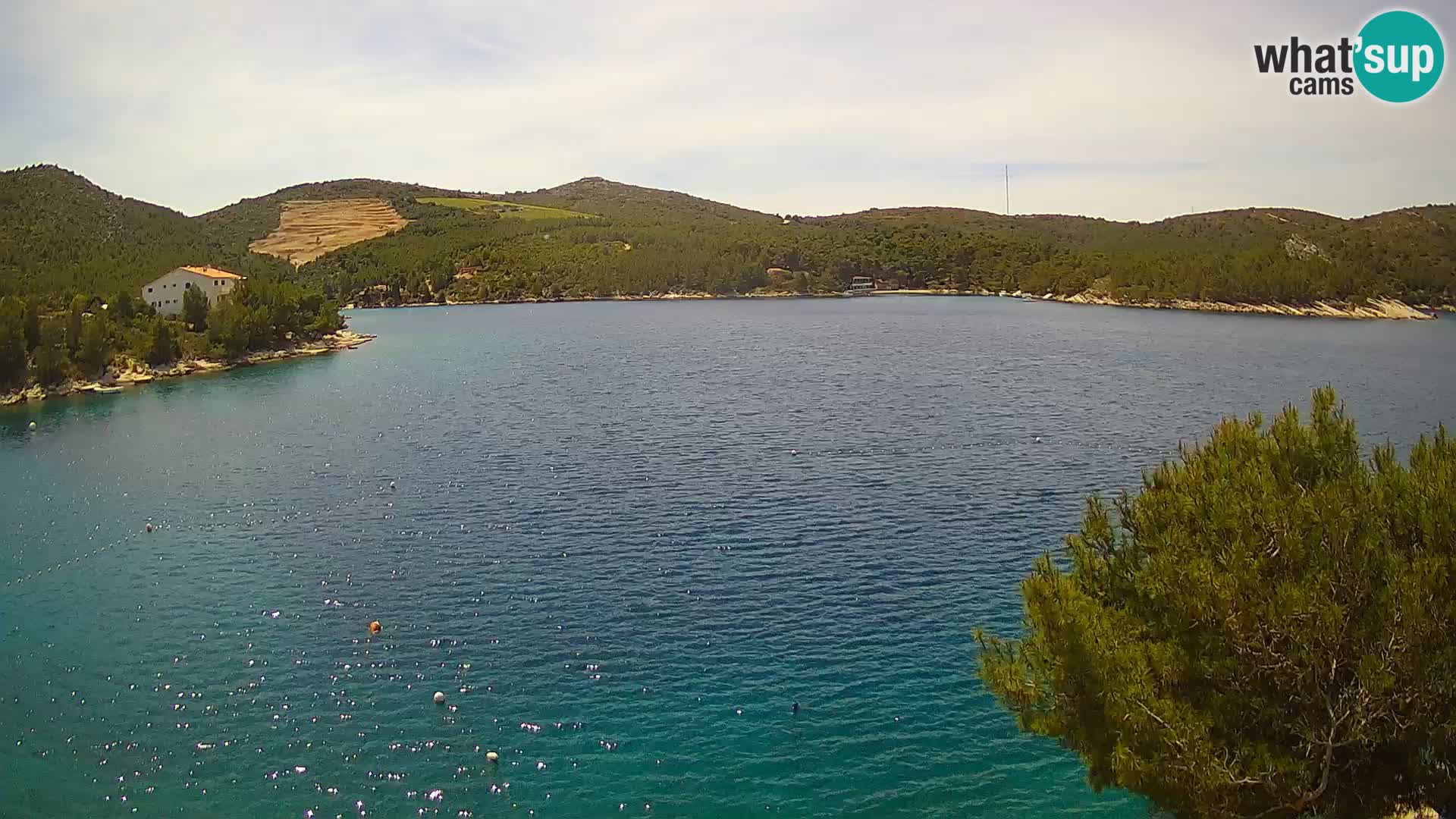 Hvar webcam Vira Strand | Hvar Insel | Dalmatien