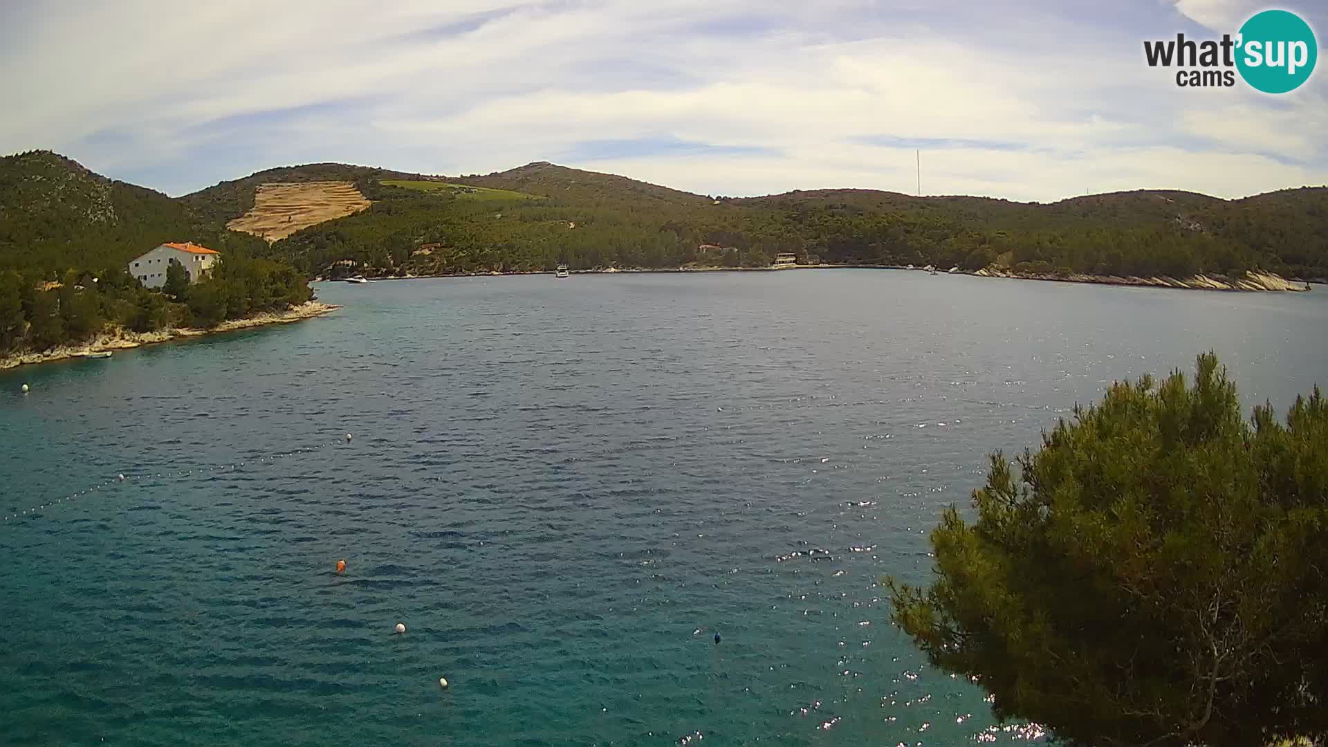 Hvar webcam Vira Strand | Hvar Insel | Dalmatien