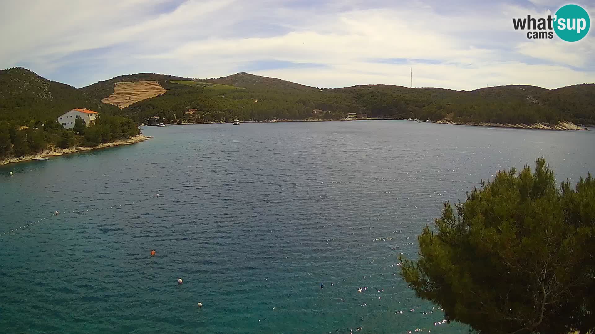 Camera Hvar Vira playa | Isla de Hvar | Dalmacia