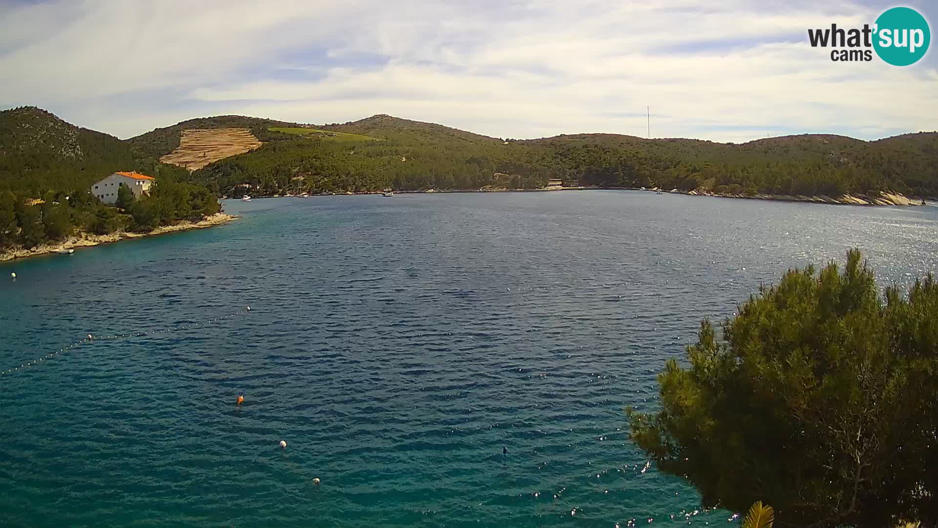 Camera Hvar Vira playa | Isla de Hvar | Dalmacia