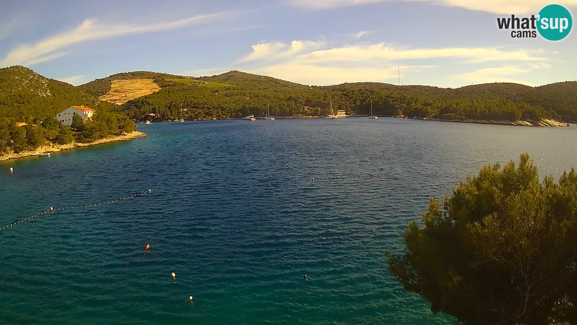 Live cam Hvar Vira plage | Île de Hvar | Dalmatie