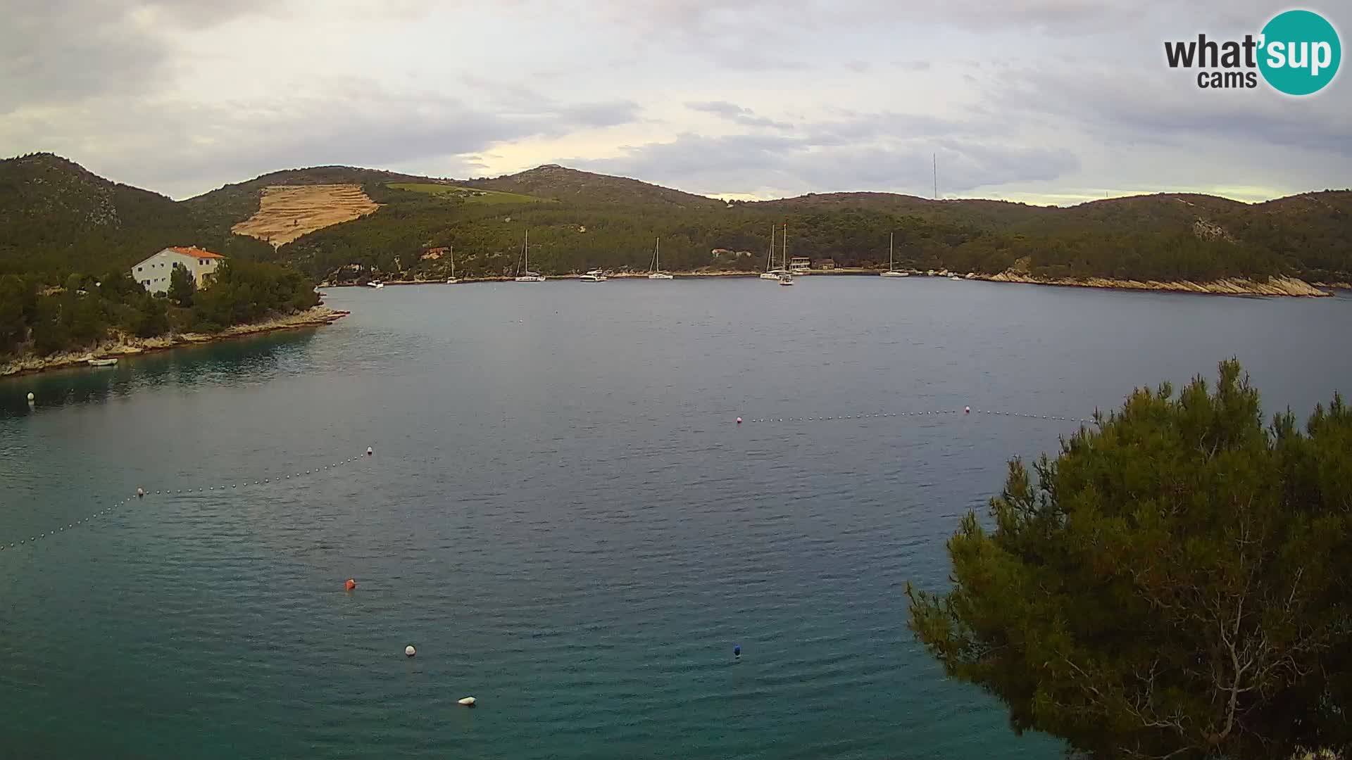 Hvar webcam Vira Strand | Hvar Insel | Dalmatien