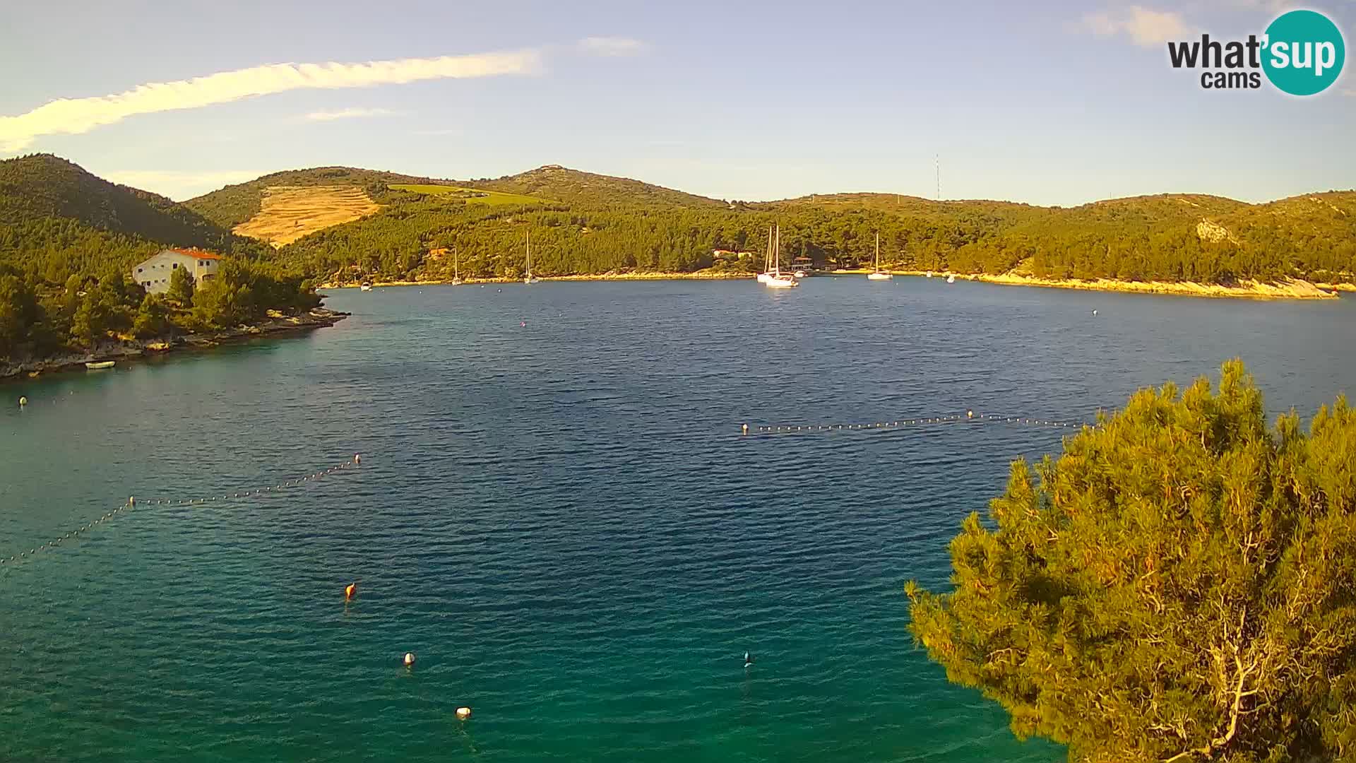 Camera Hvar Vira playa | Isla de Hvar | Dalmacia