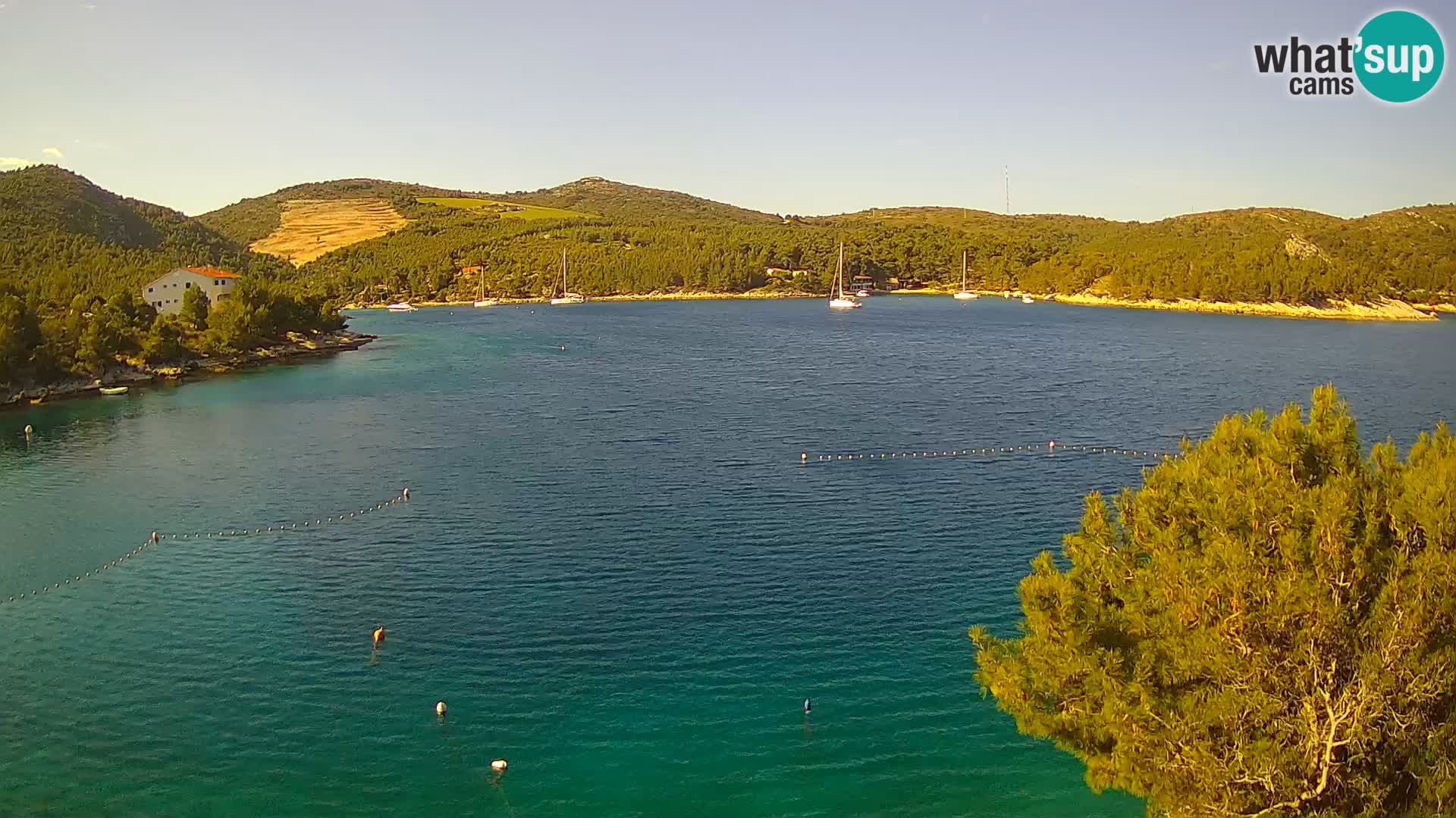 Hvar webcam Vira Strand | Hvar Insel | Dalmatien