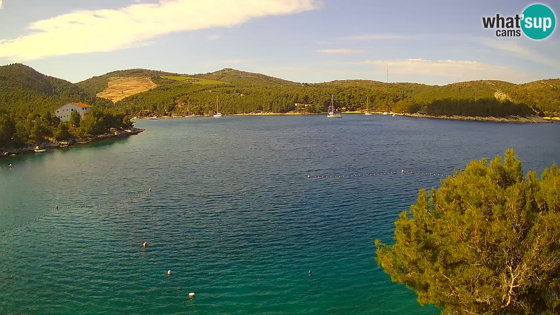 Camera Hvar Vira playa | Isla de Hvar | Dalmacia