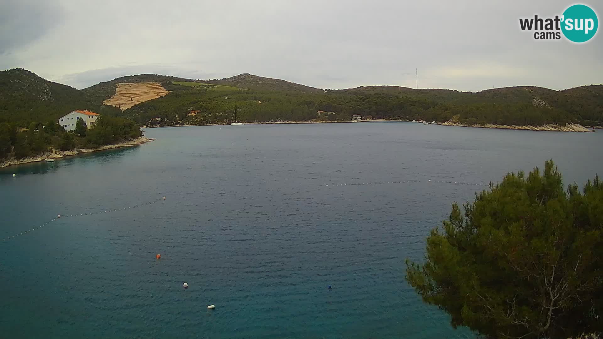 Web kamera Hvar Vira plaža | otok Hvar | Dalmacija