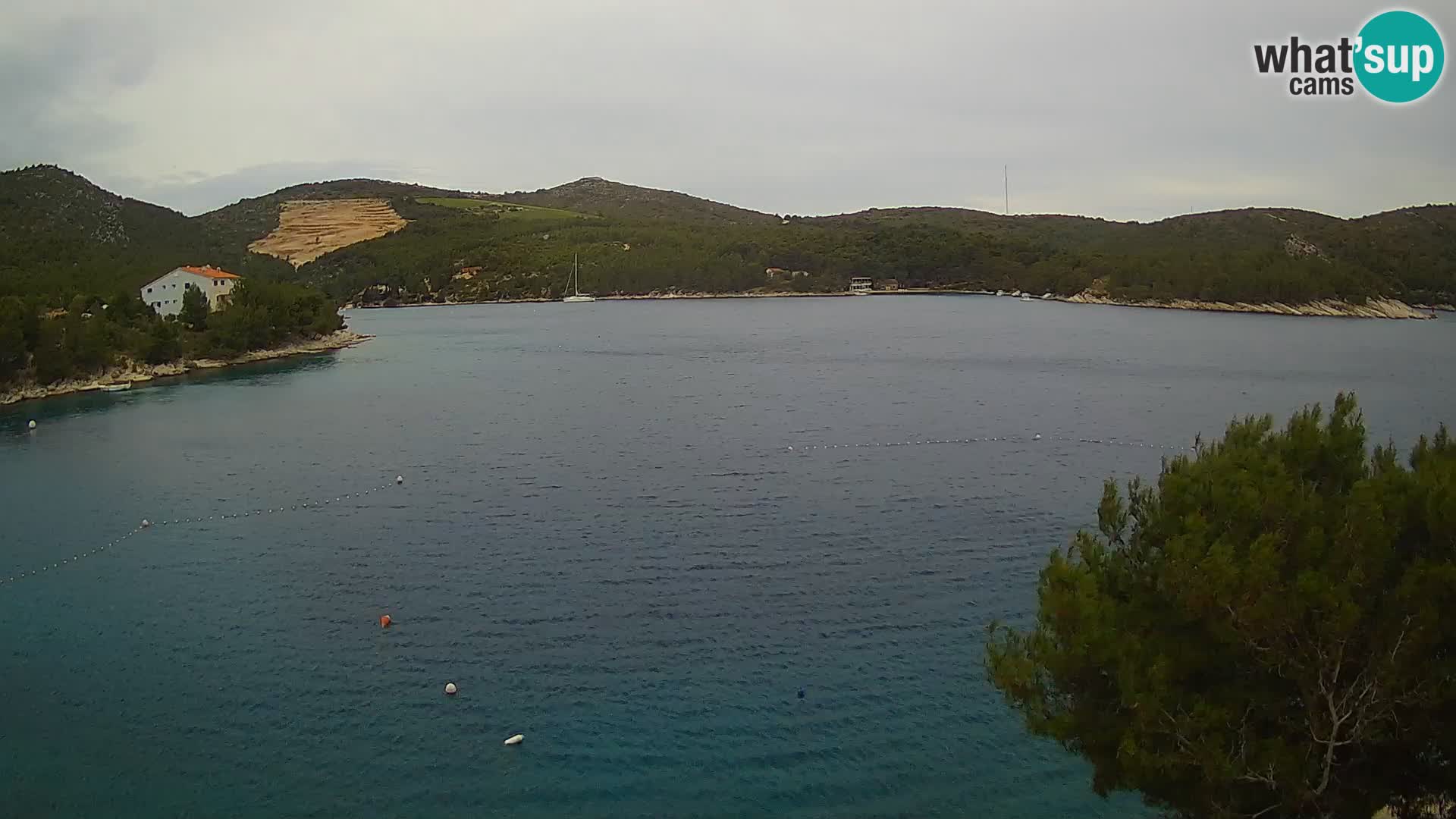 Camera Hvar Vira playa | Isla de Hvar | Dalmacia