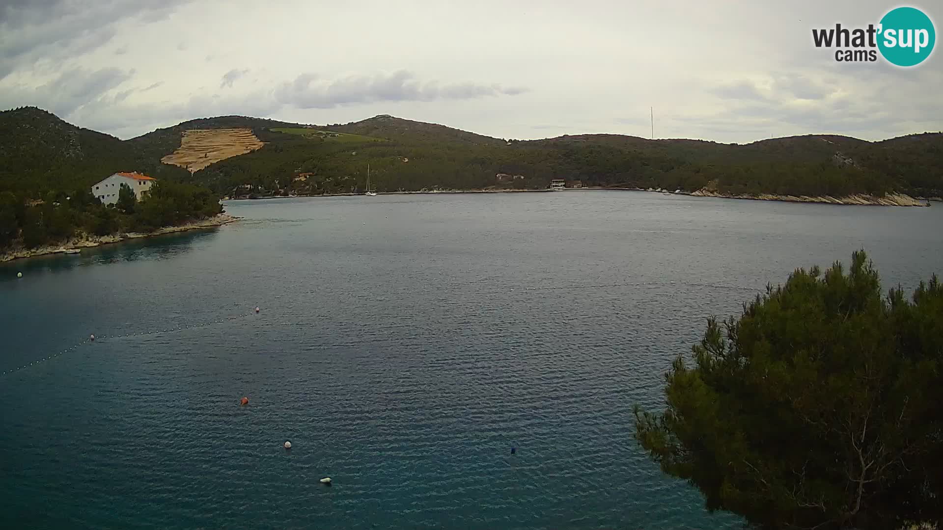 Hvar webcam Vira Strand | Hvar Insel | Dalmatien