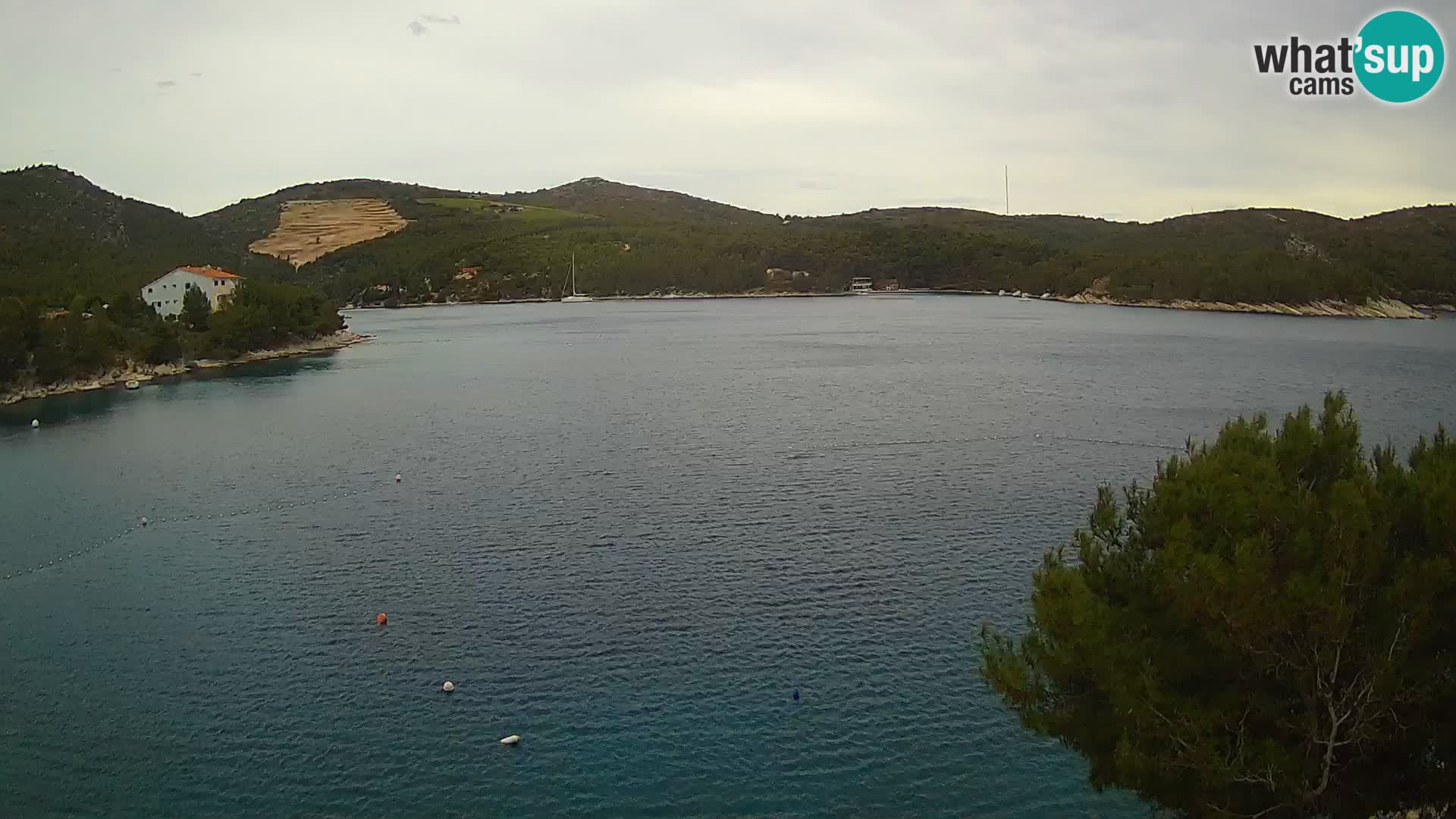 Live cam Hvar Vira plage | Île de Hvar | Dalmatie