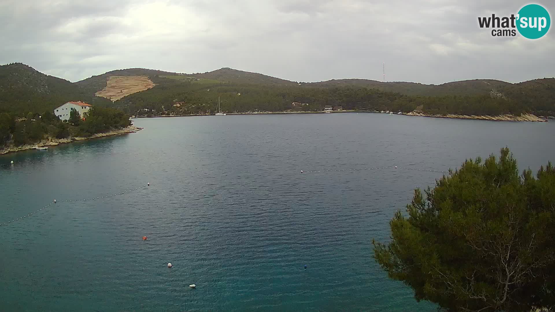 Camera Hvar Vira playa | Isla de Hvar | Dalmacia