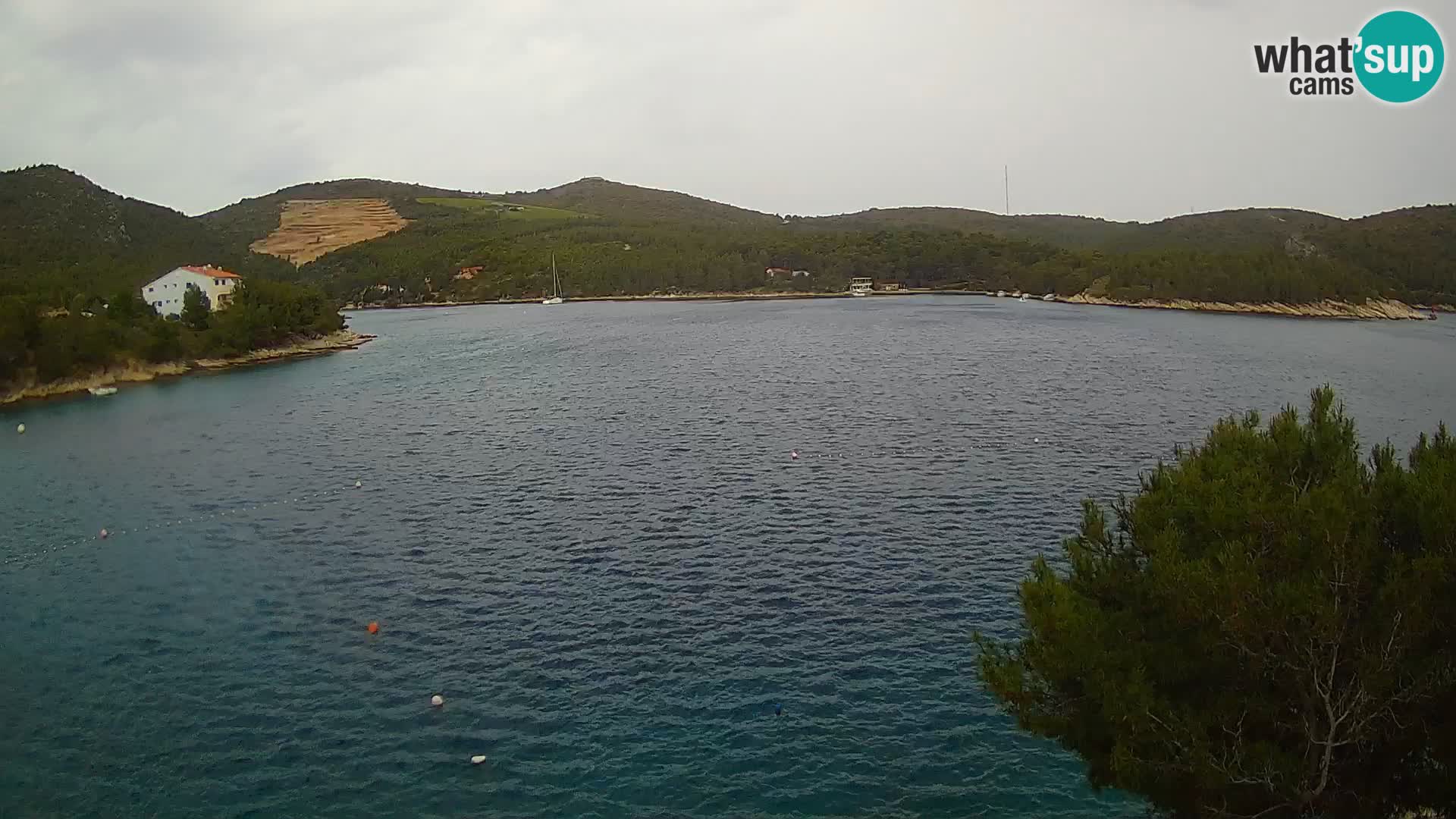 Web kamera Hvar Vira plaža | otok Hvar | Dalmacija