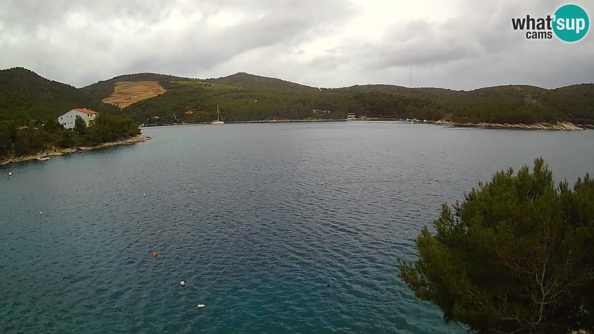 Camera Hvar Vira playa | Isla de Hvar | Dalmacia