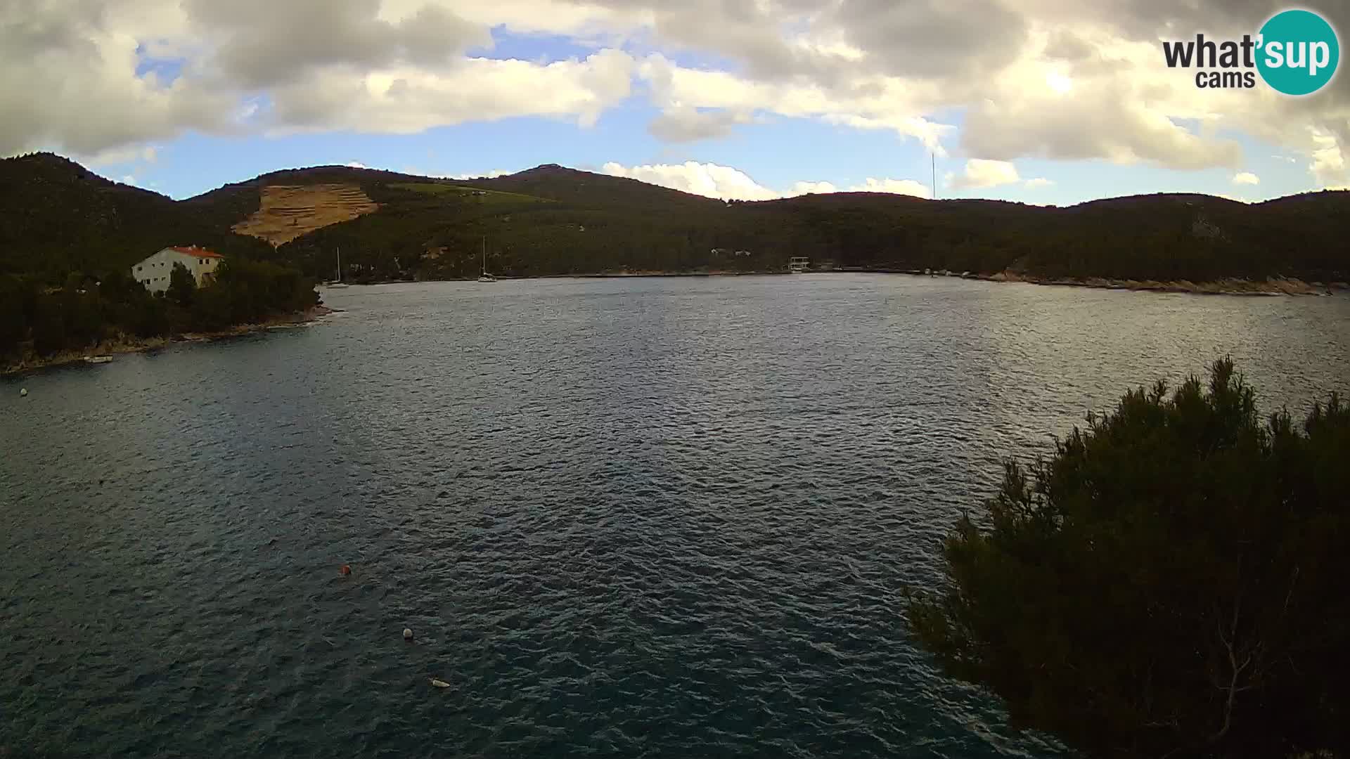 Web kamera Hvar Vira plaža | otok Hvar | Dalmacija
