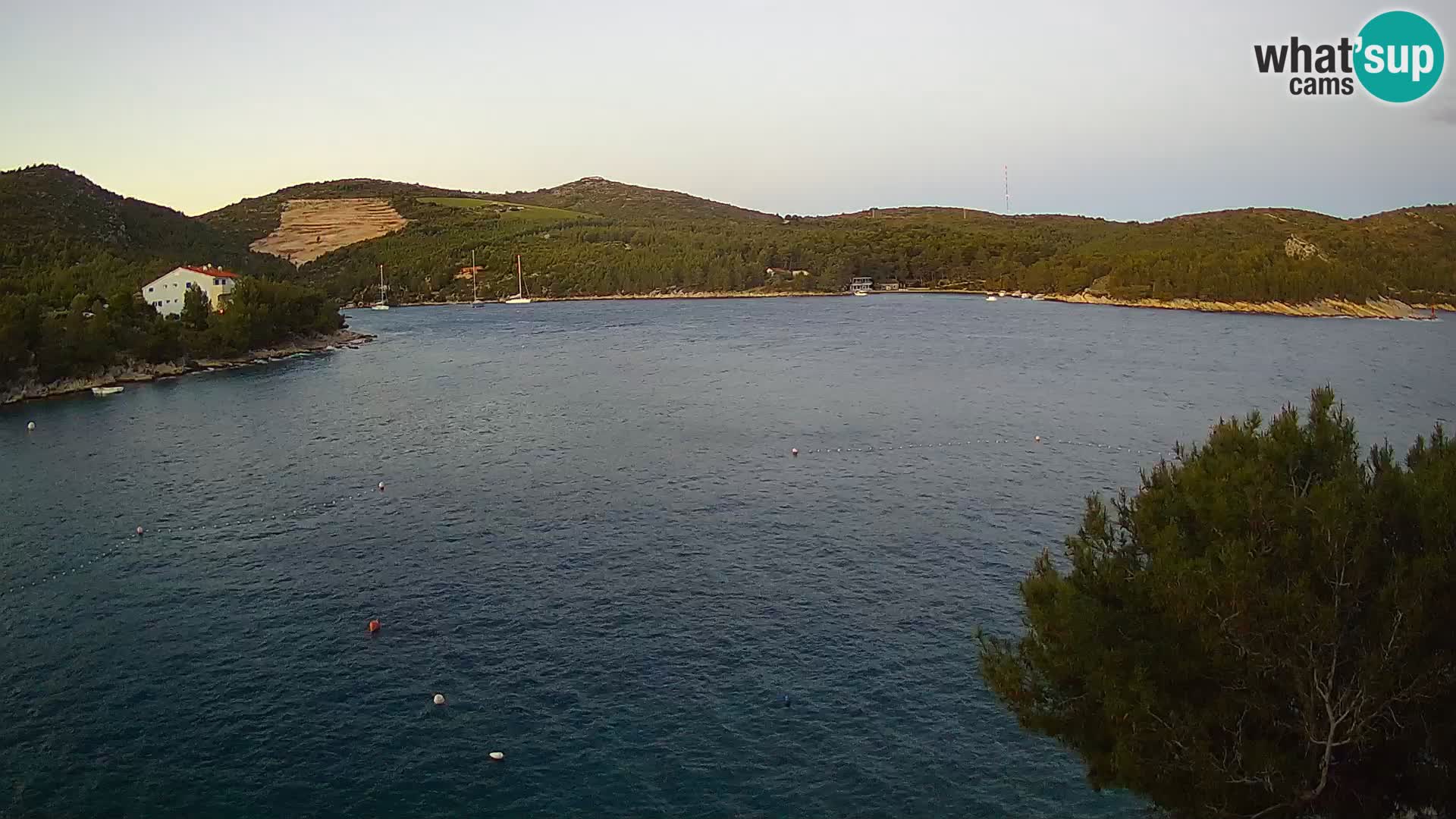 Live cam Hvar Vira plage | Île de Hvar | Dalmatie