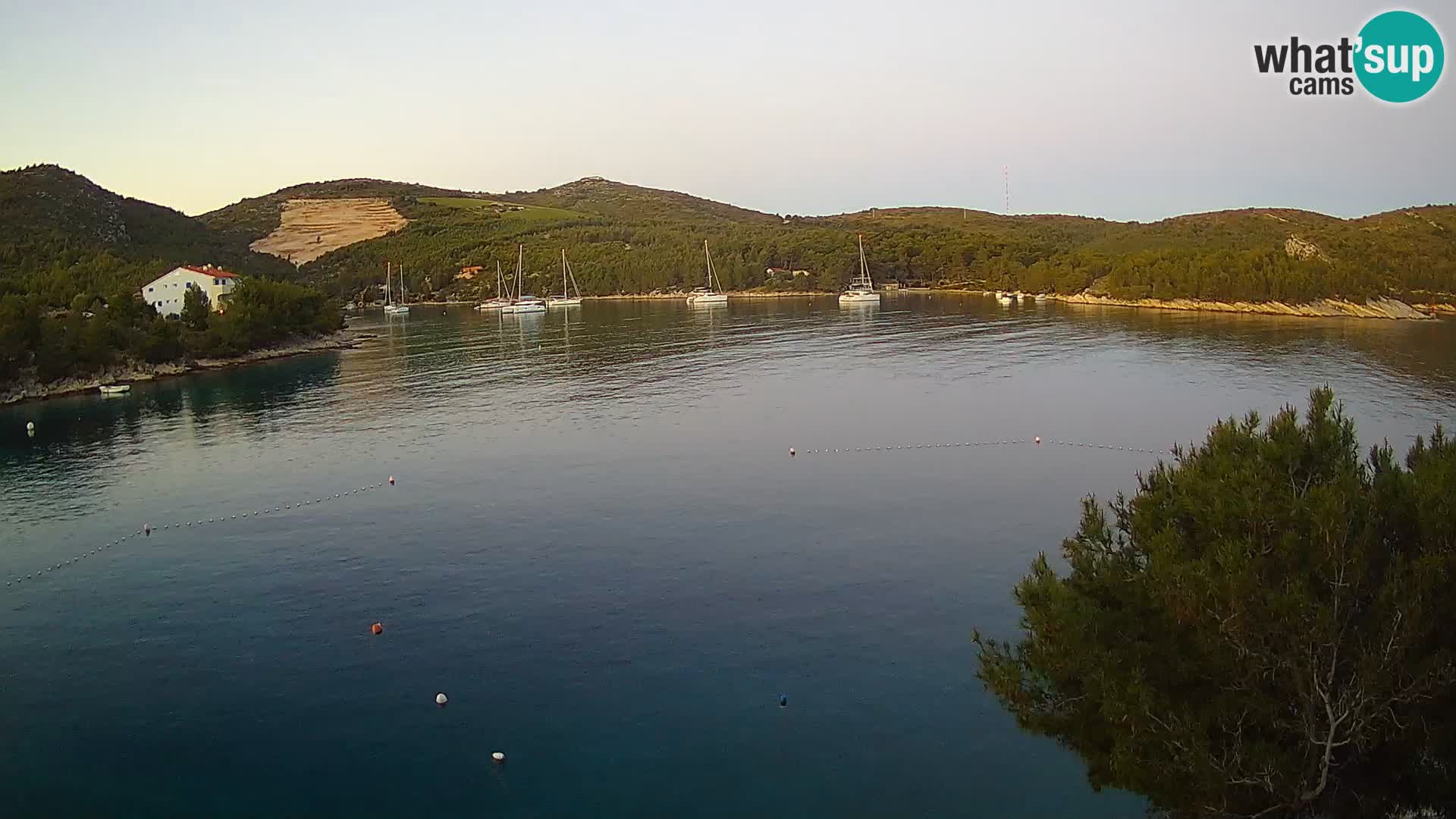 Camera Hvar Vira playa | Isla de Hvar | Dalmacia