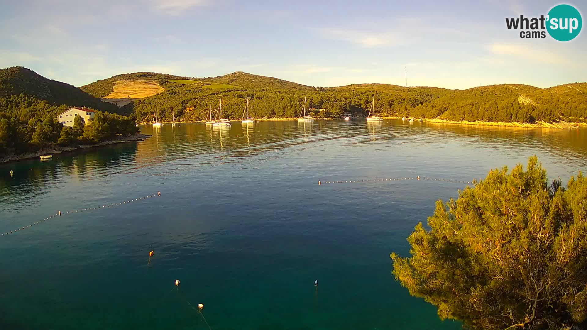 Live cam Hvar Vira plage | Île de Hvar | Dalmatie