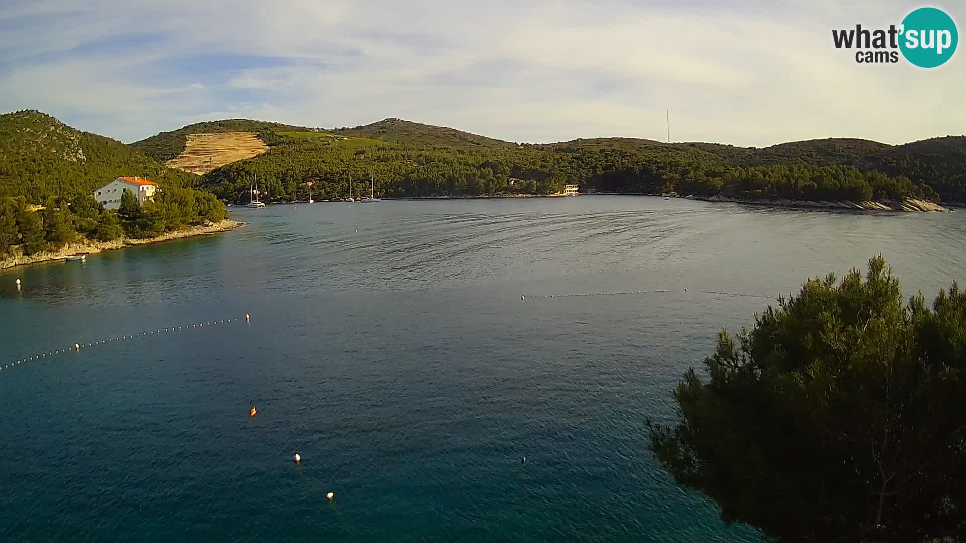 Camera Hvar Vira playa | Isla de Hvar | Dalmacia