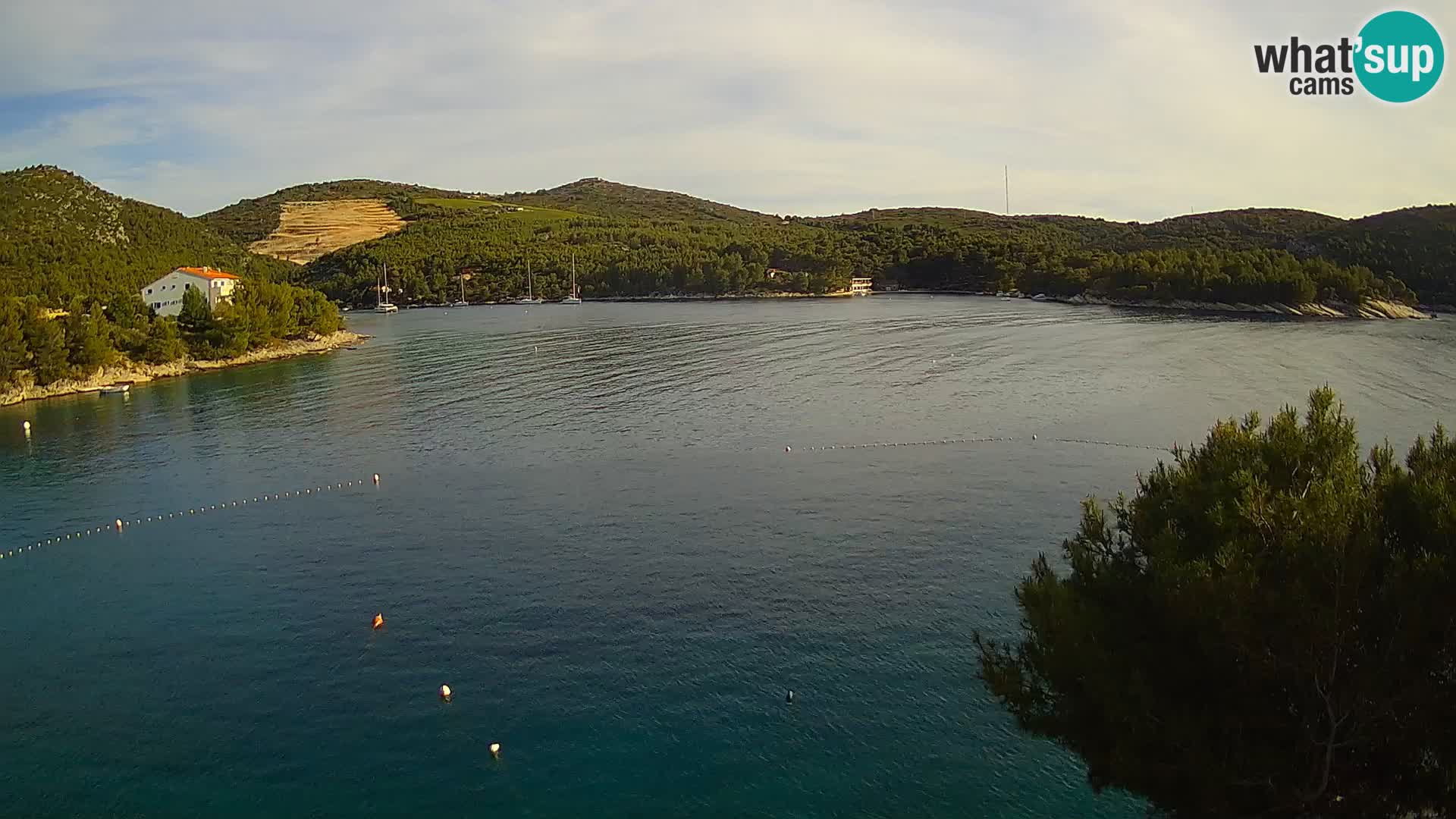 Camera Hvar Vira playa | Isla de Hvar | Dalmacia