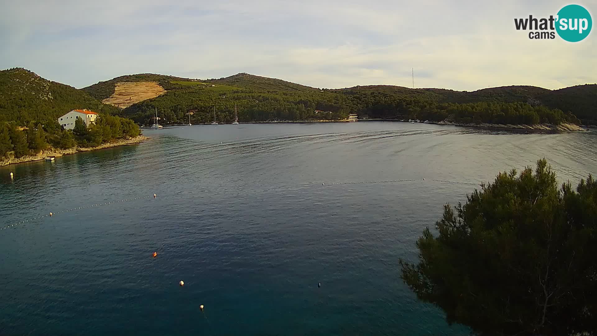 Hvar webcam Vira Strand | Hvar Insel | Dalmatien