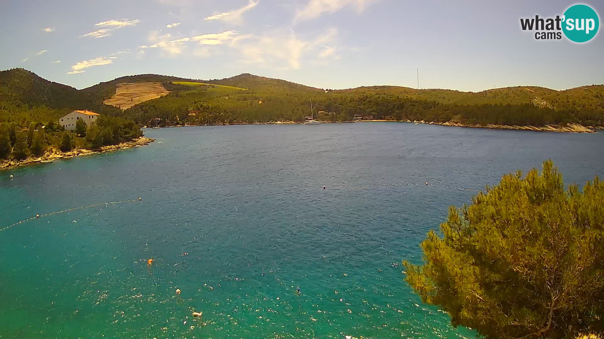 Camera Hvar Vira playa | Isla de Hvar | Dalmacia