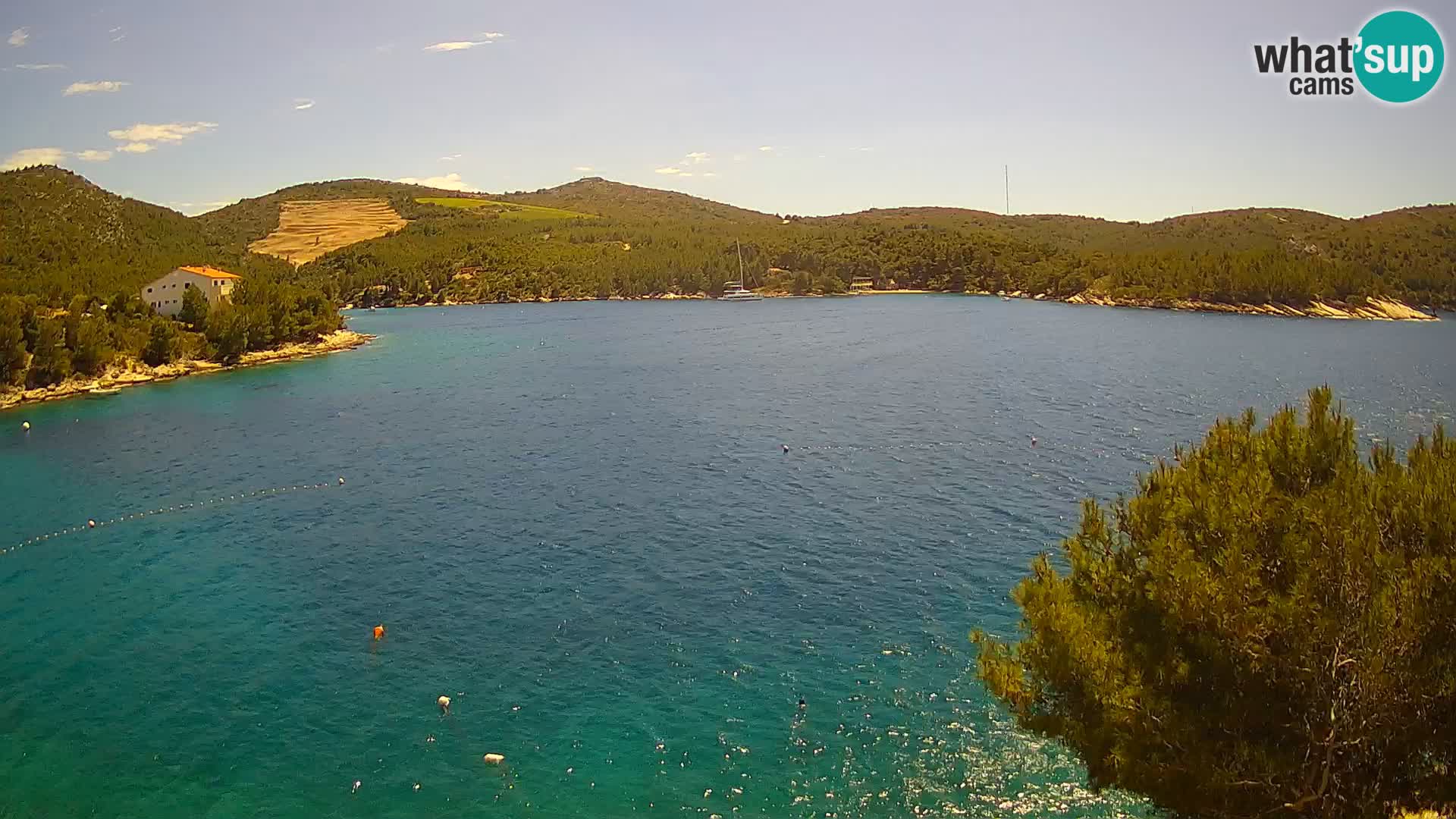 Webcam Hvar Vira beach | Hvar island | Dalmatia