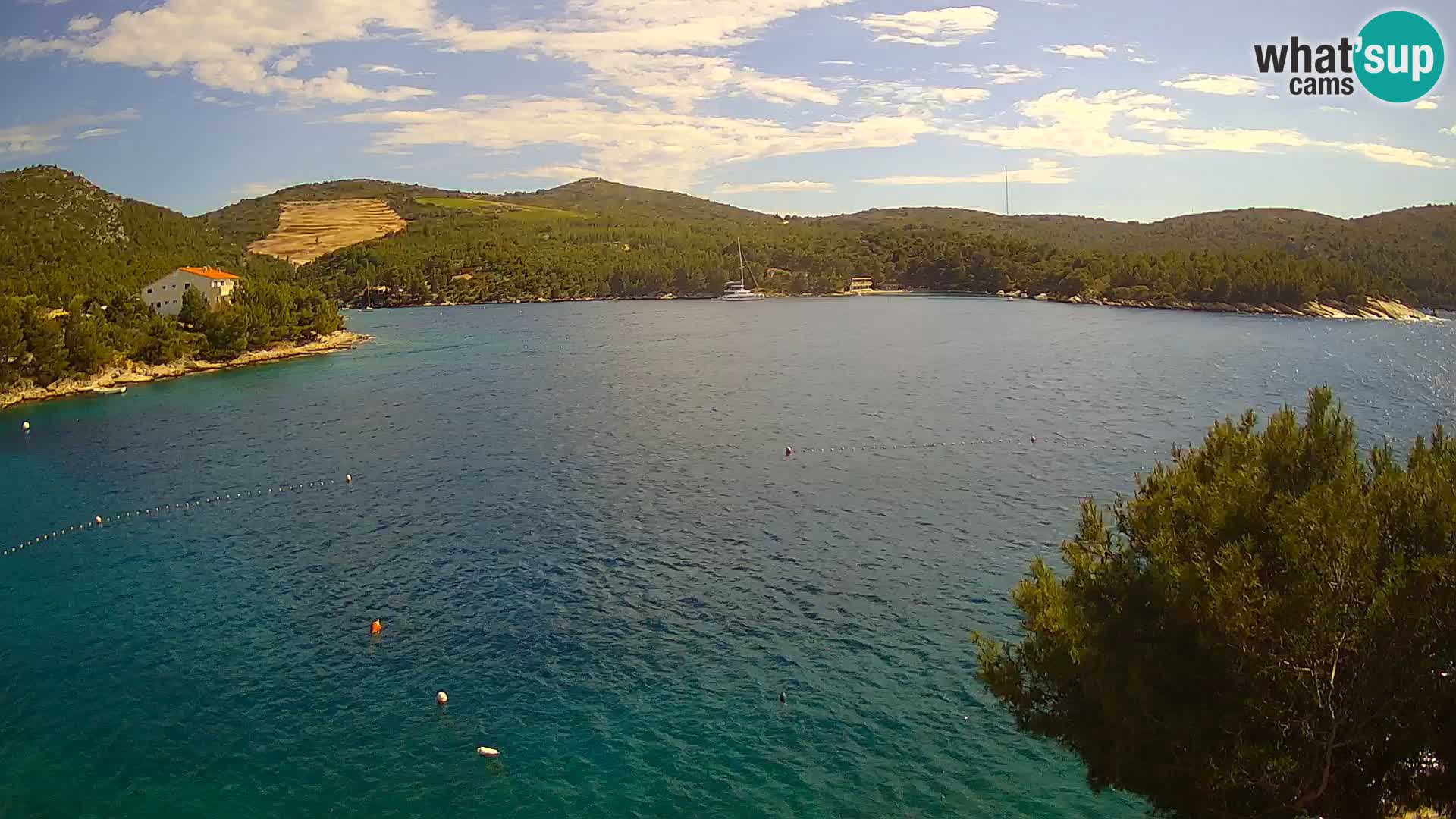 Camera Hvar Vira playa | Isla de Hvar | Dalmacia