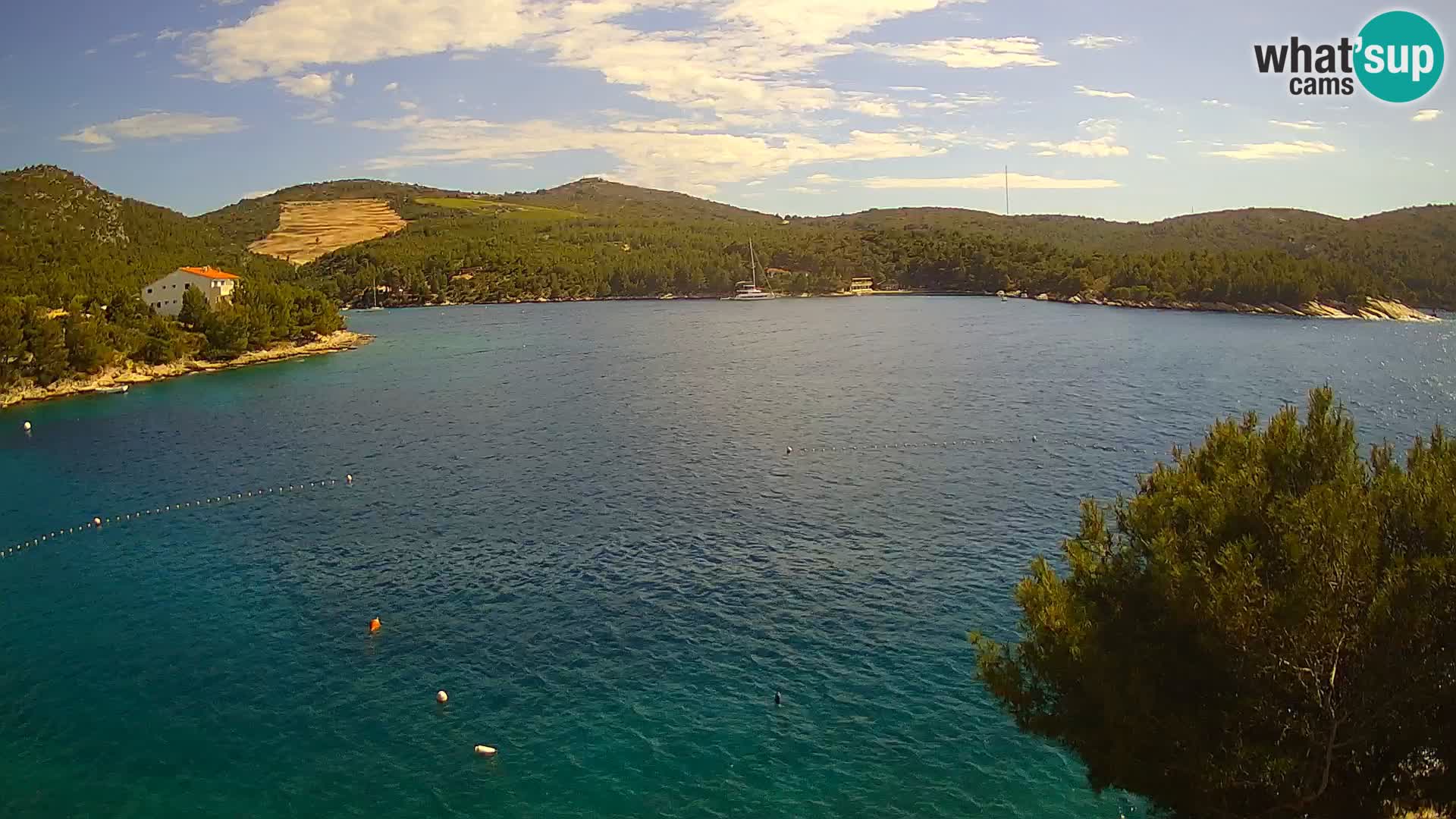 Camera Hvar Vira playa | Isla de Hvar | Dalmacia