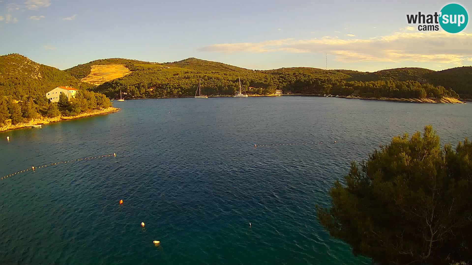 Camera Hvar Vira playa | Isla de Hvar | Dalmacia