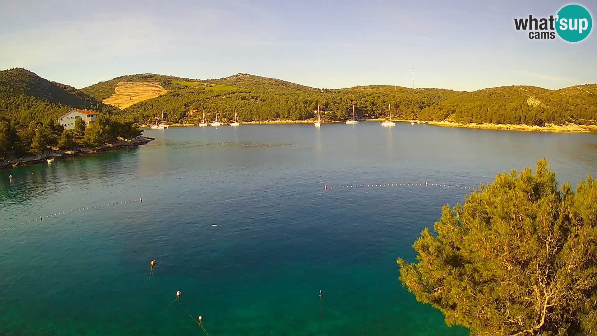 Hvar webcam Vira Strand | Hvar Insel | Dalmatien