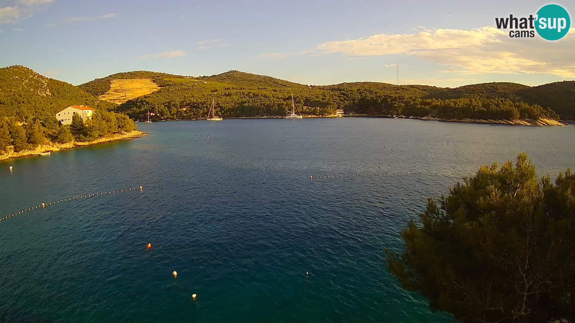 Camera Hvar Vira playa | Isla de Hvar | Dalmacia
