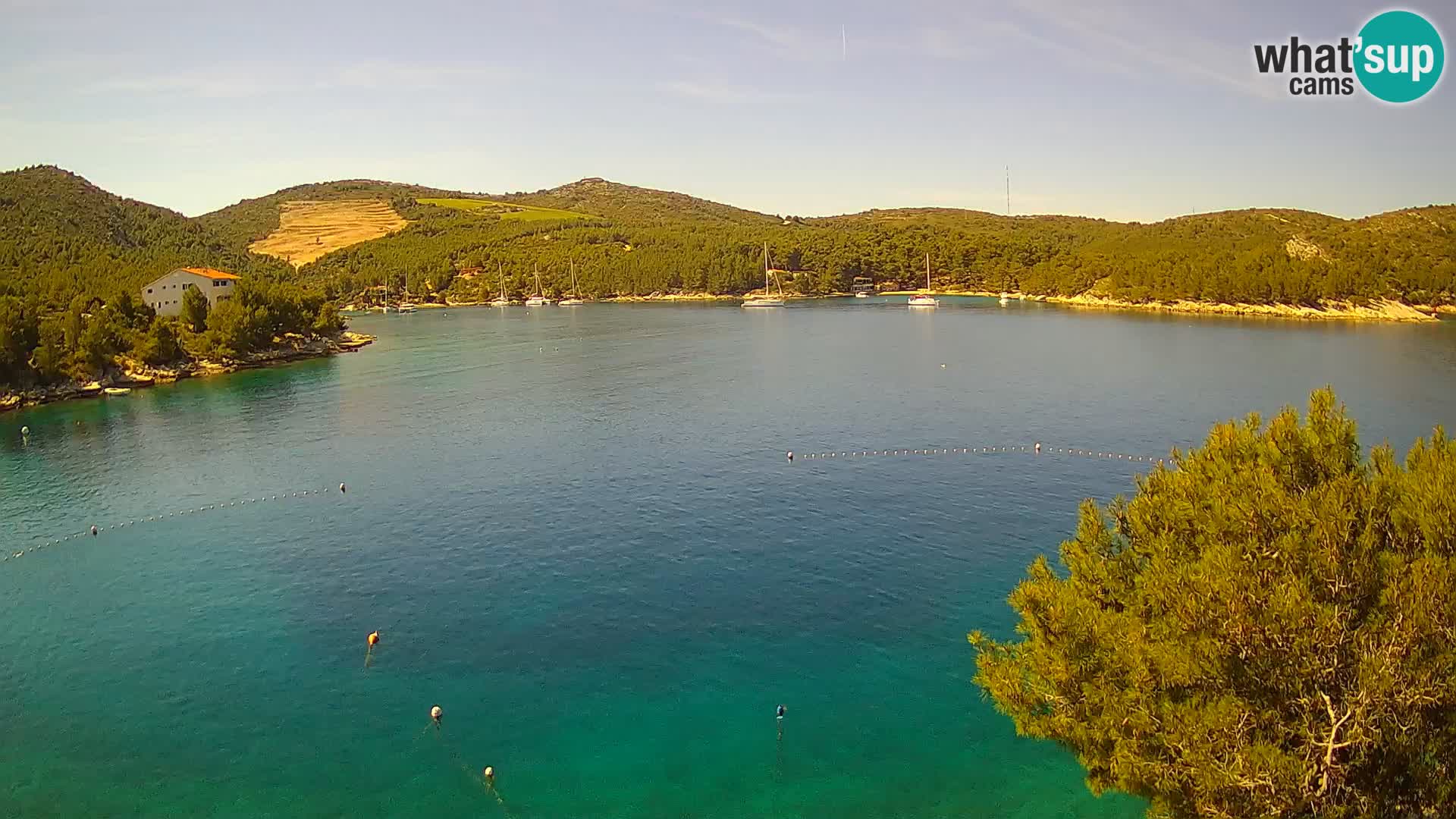 Camera Hvar Vira playa | Isla de Hvar | Dalmacia