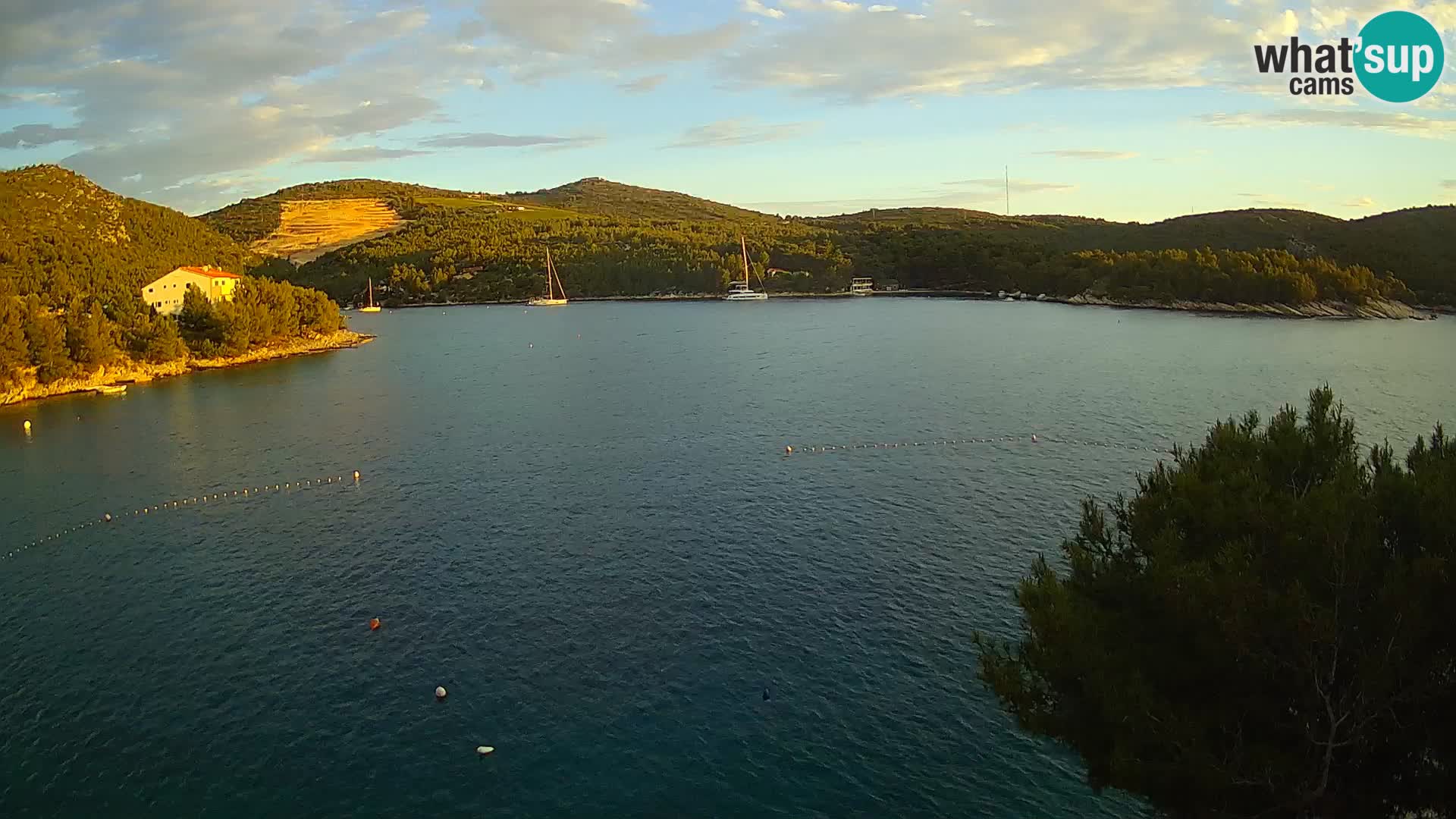 Camera Hvar Vira playa | Isla de Hvar | Dalmacia