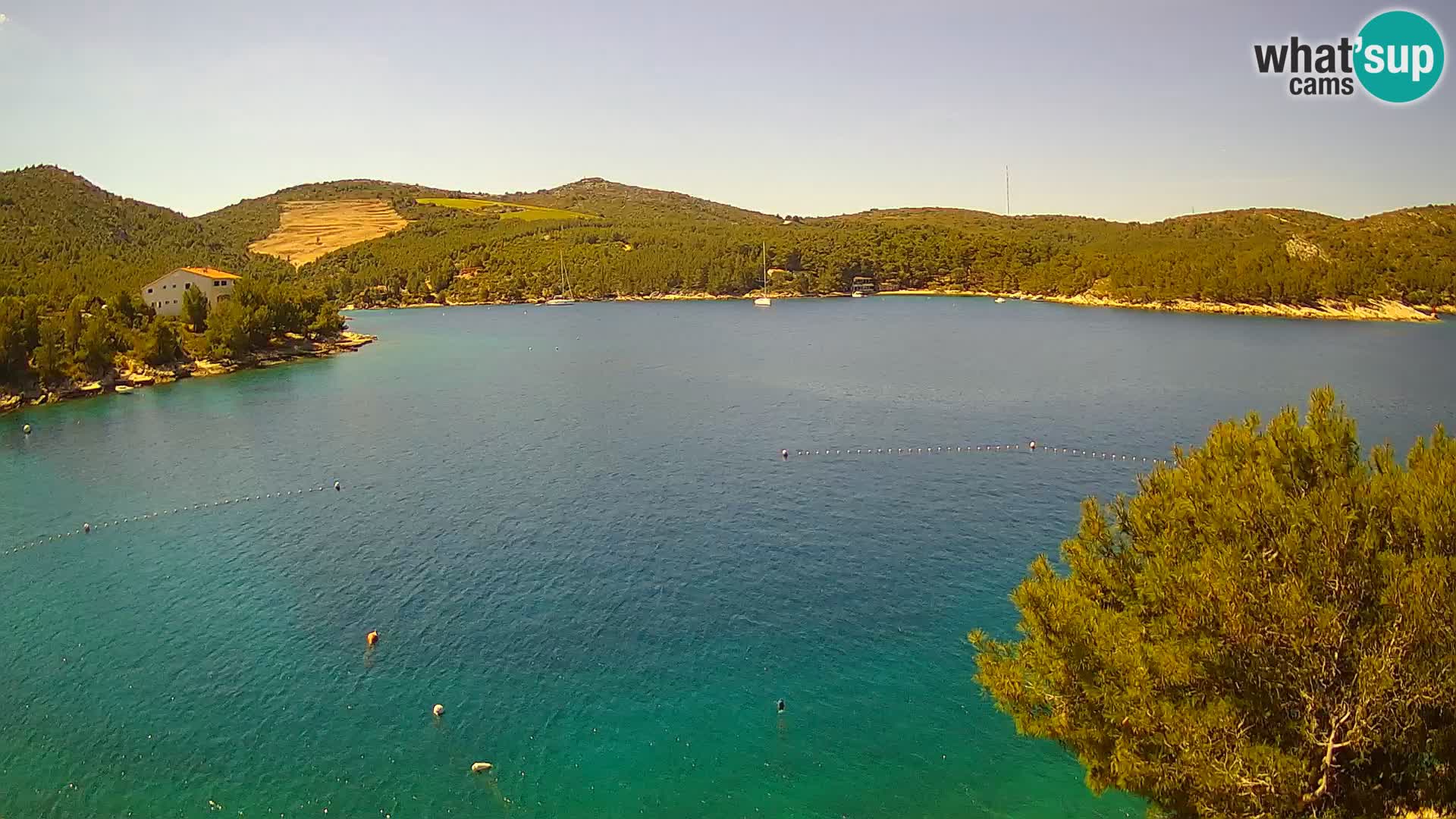 Camera Hvar Vira playa | Isla de Hvar | Dalmacia