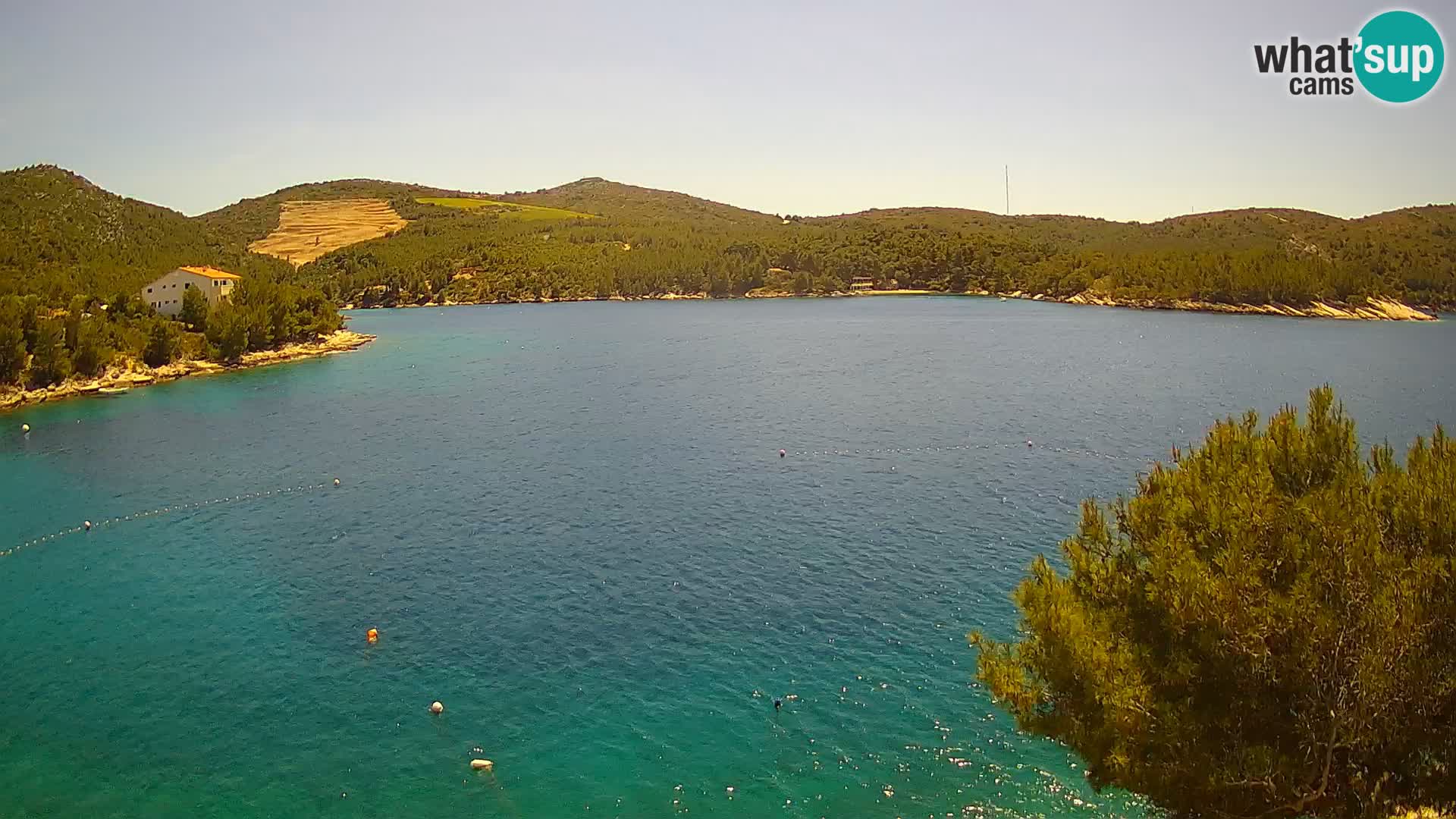 Camera Hvar Vira playa | Isla de Hvar | Dalmacia