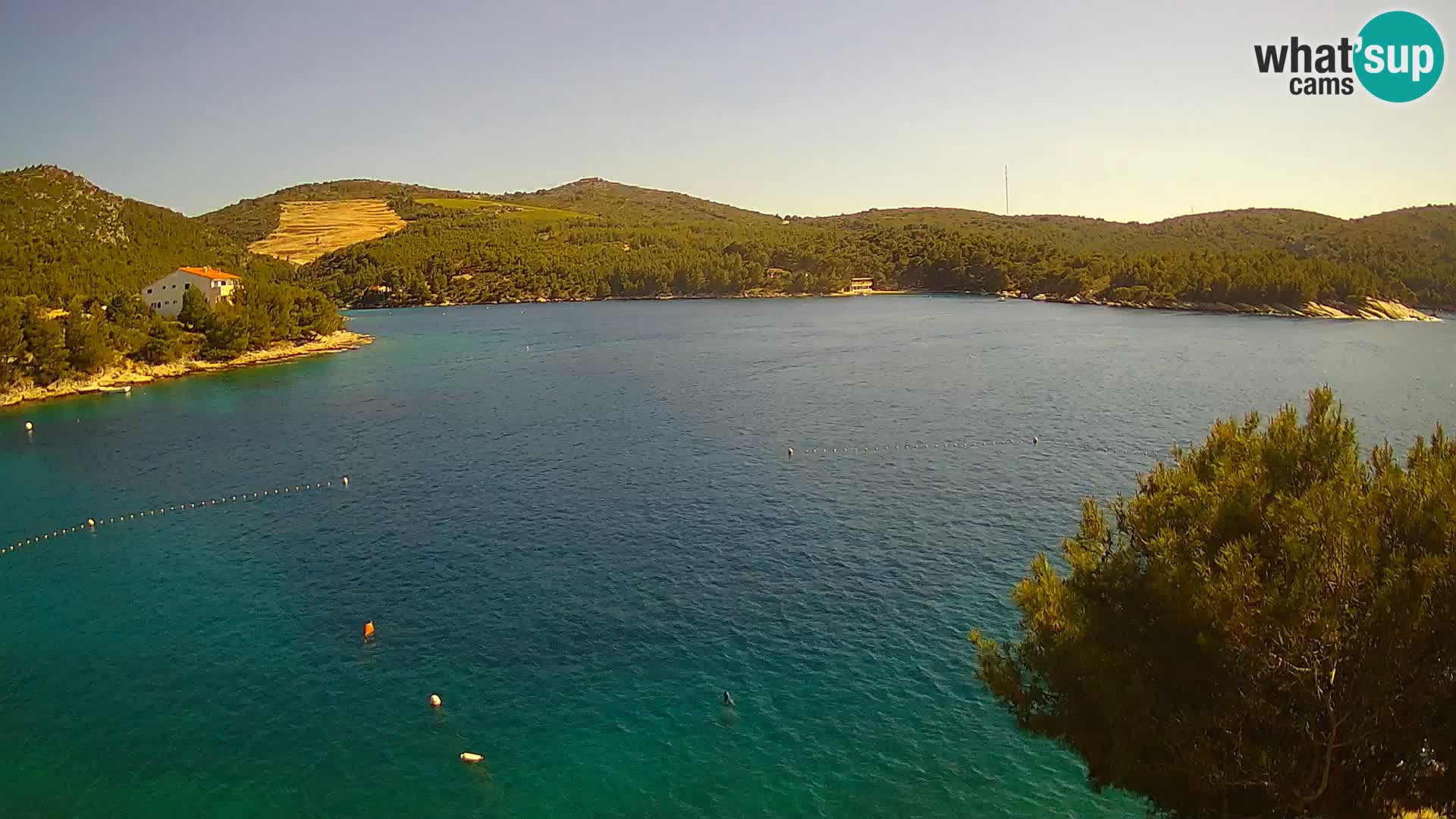 Live cam Hvar Vira plage | Île de Hvar | Dalmatie