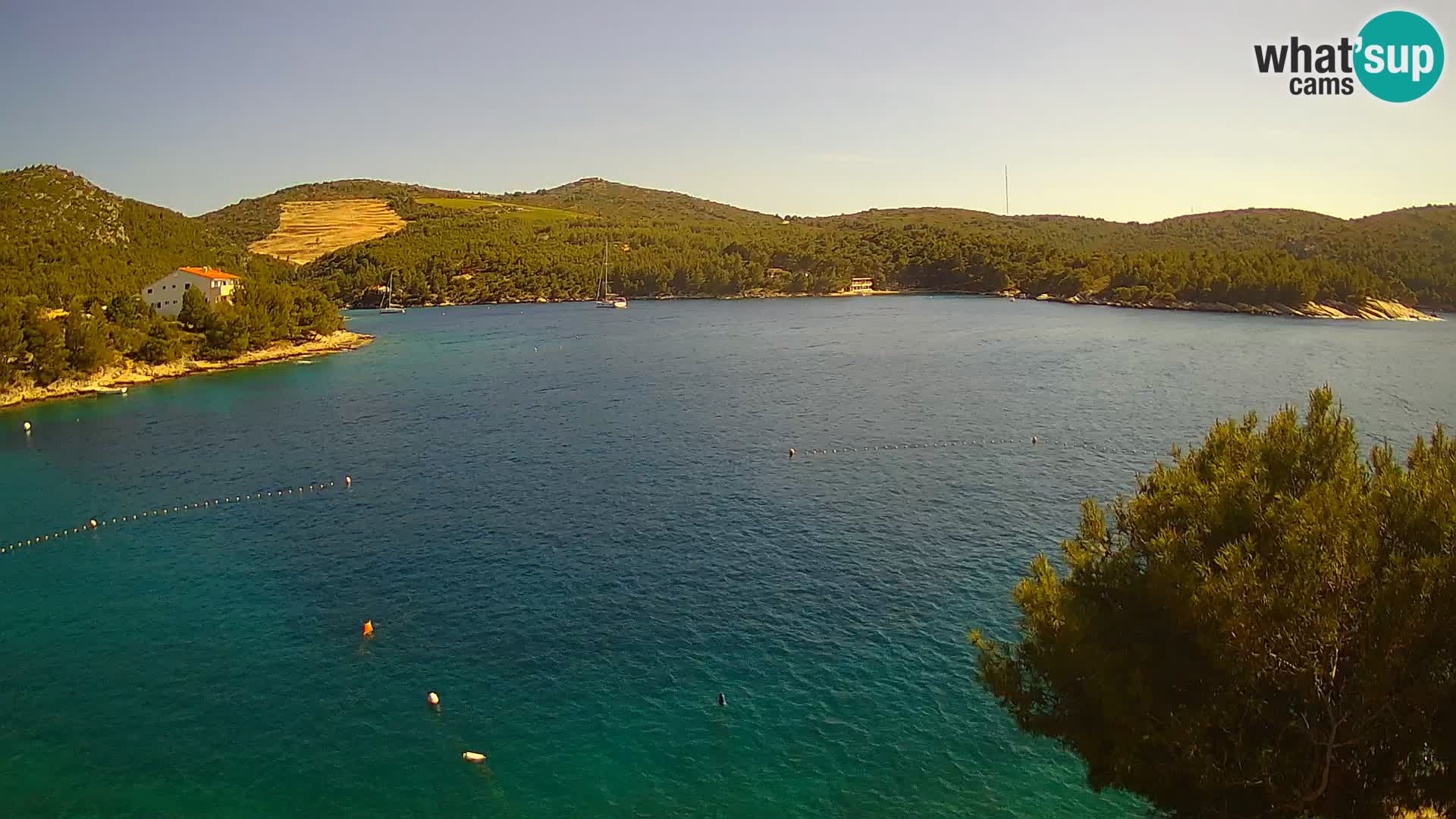 Camera Hvar Vira playa | Isla de Hvar | Dalmacia