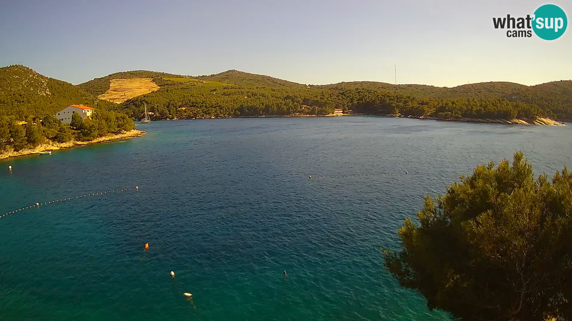 Camera Hvar Vira playa | Isla de Hvar | Dalmacia