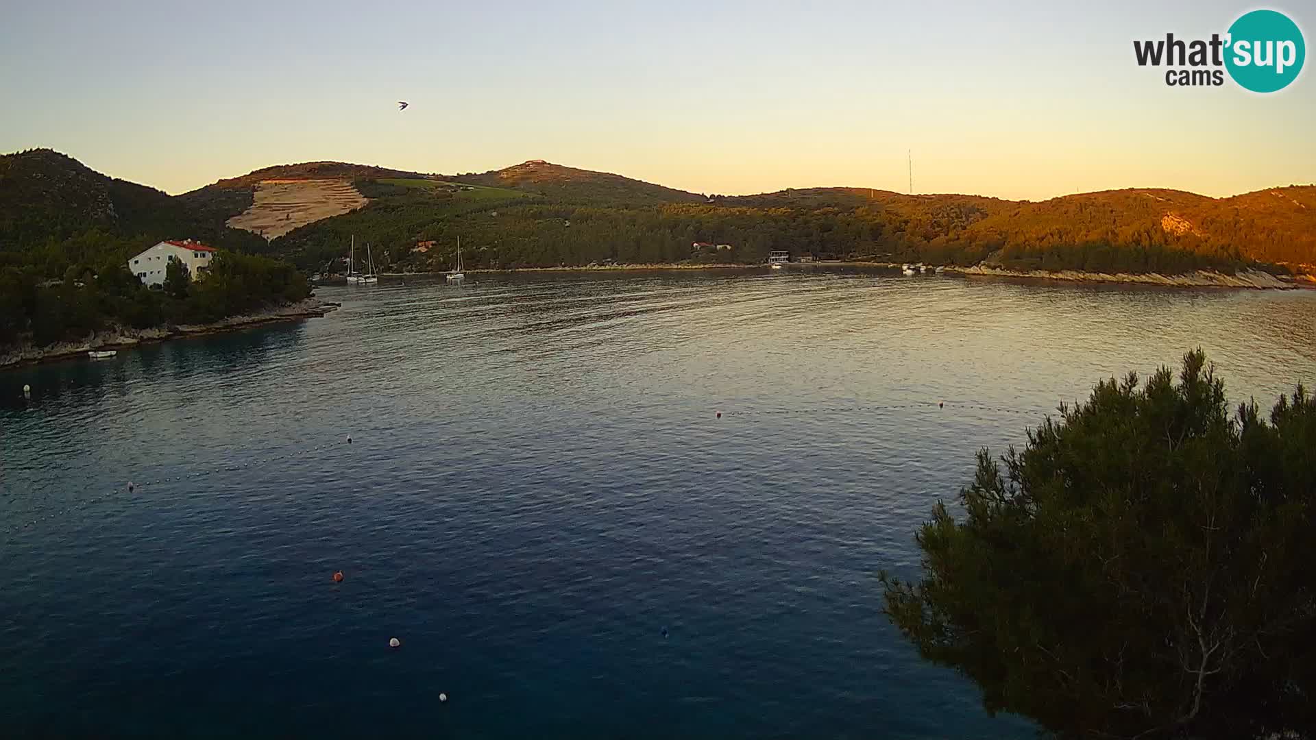 Live cam Hvar Vira plage | Île de Hvar | Dalmatie